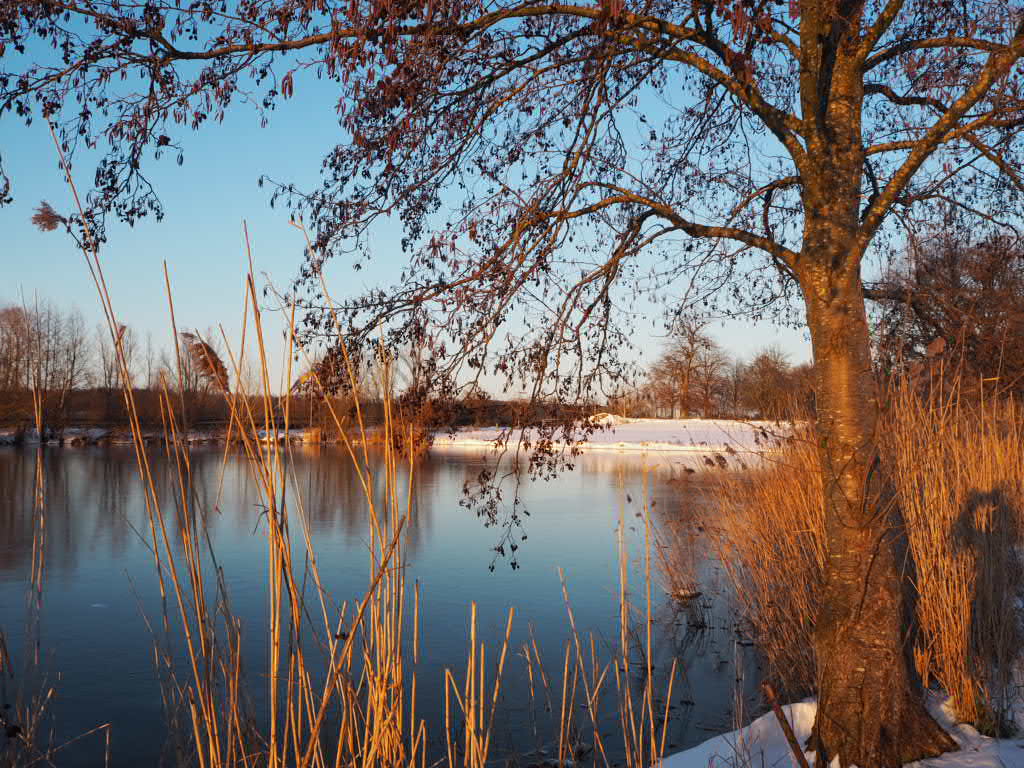 - image: 79