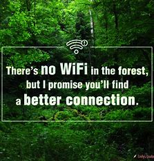 - image: 11