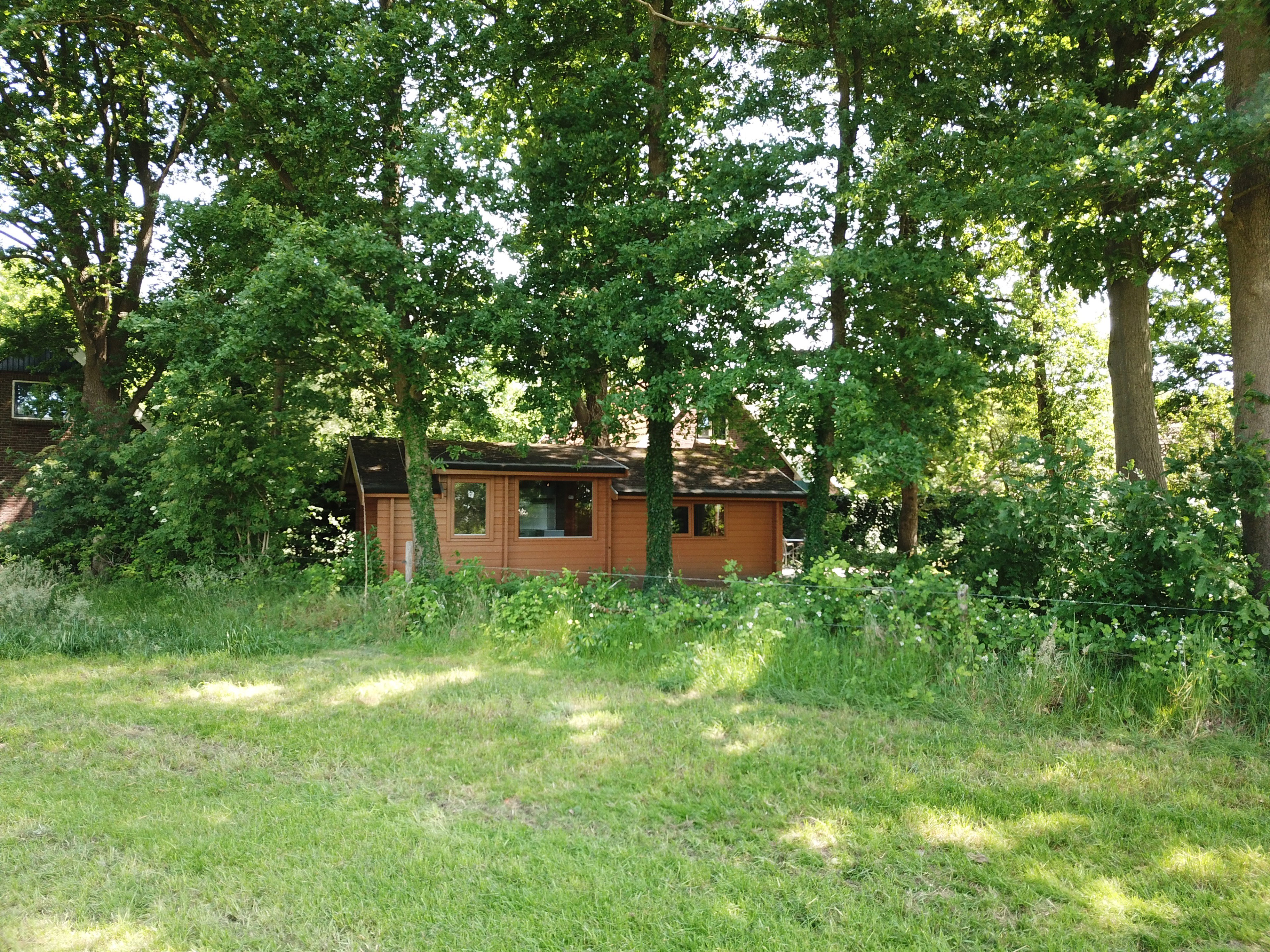 - image: 11