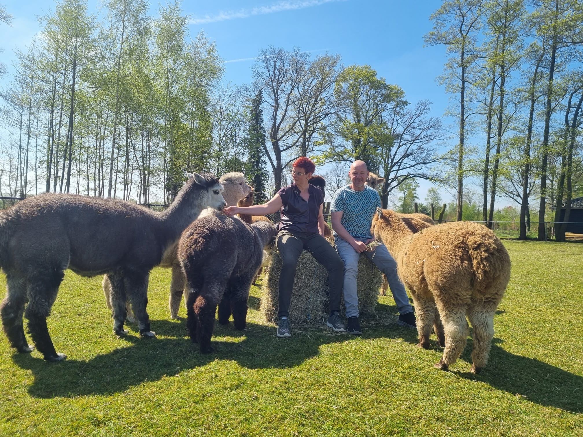 Natuurhuisje in De Heurne