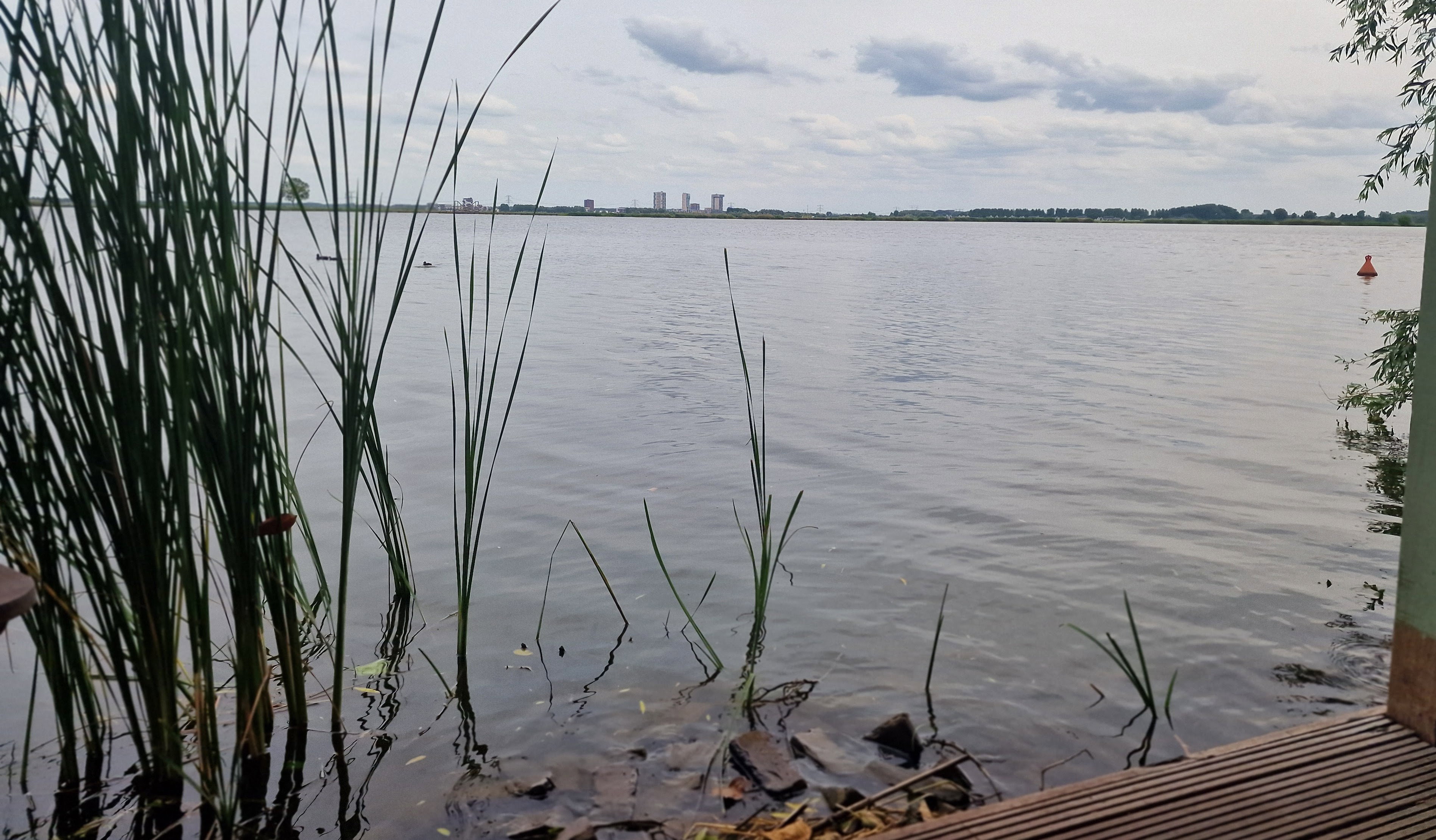Natuurhuisje in Bleiswijk