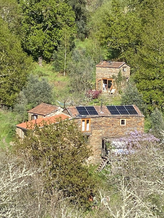 - image: 1