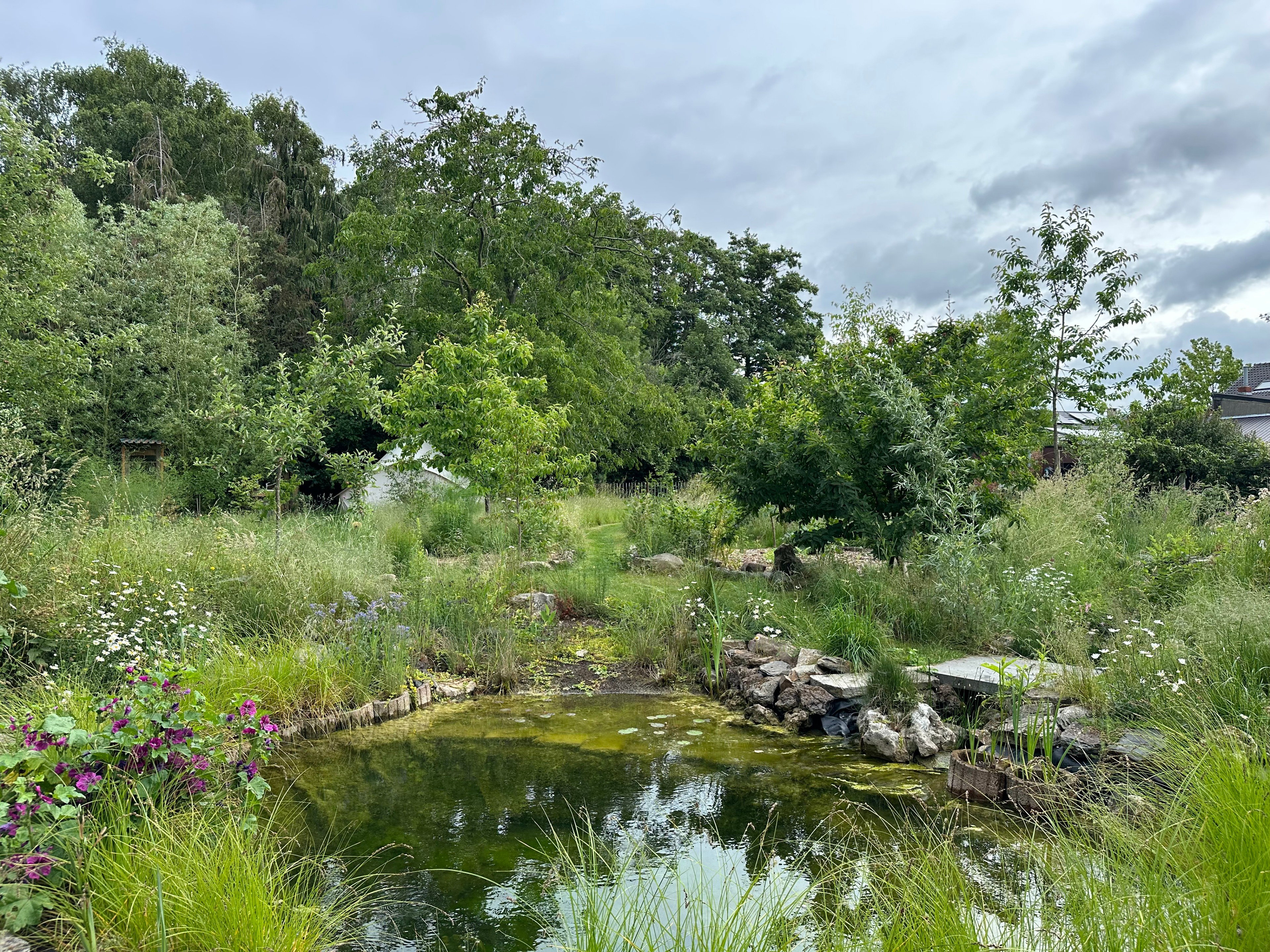 Naturhäuschen in Haasdonk