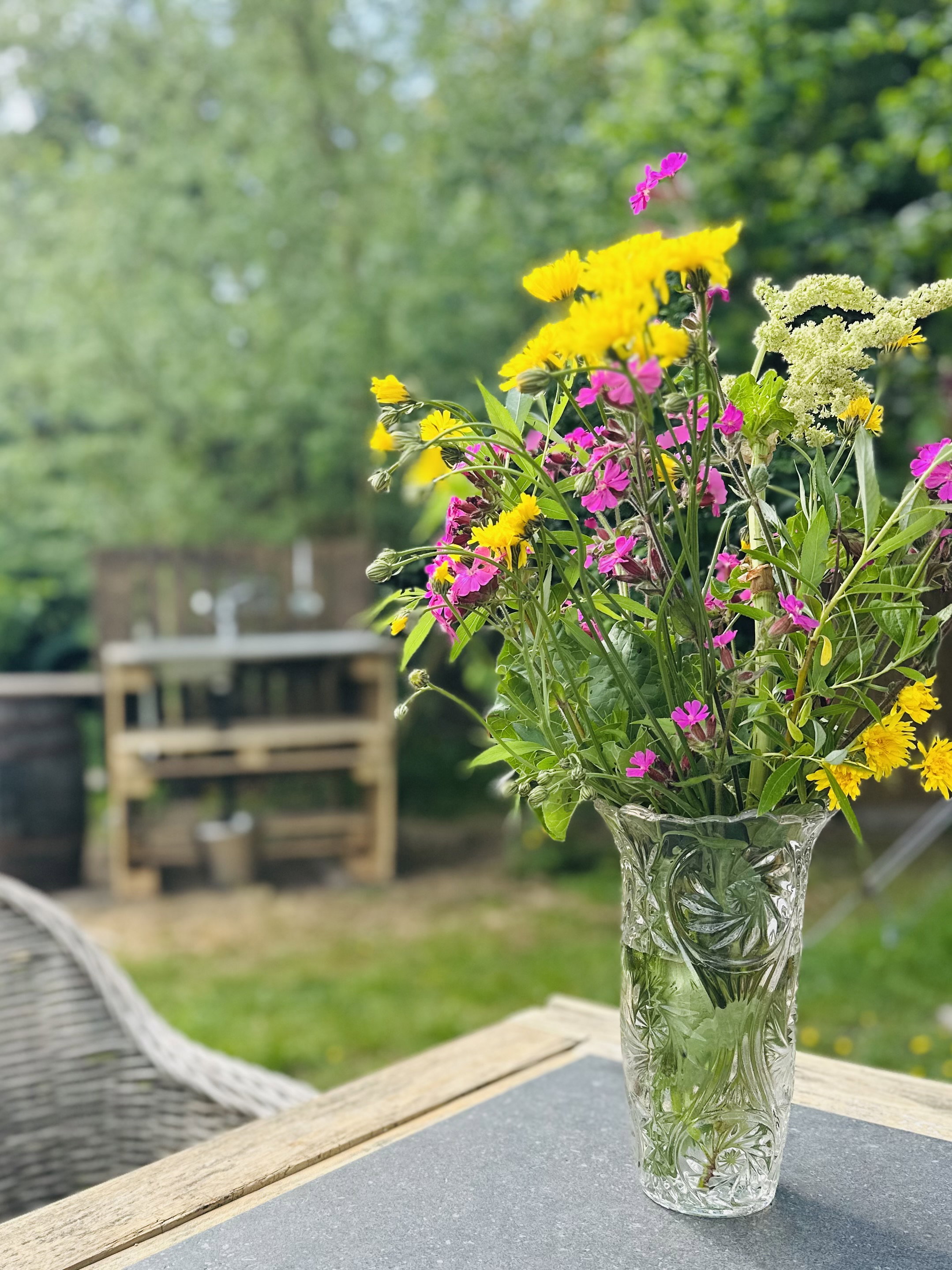 Naturhäuschen in Haasdonk