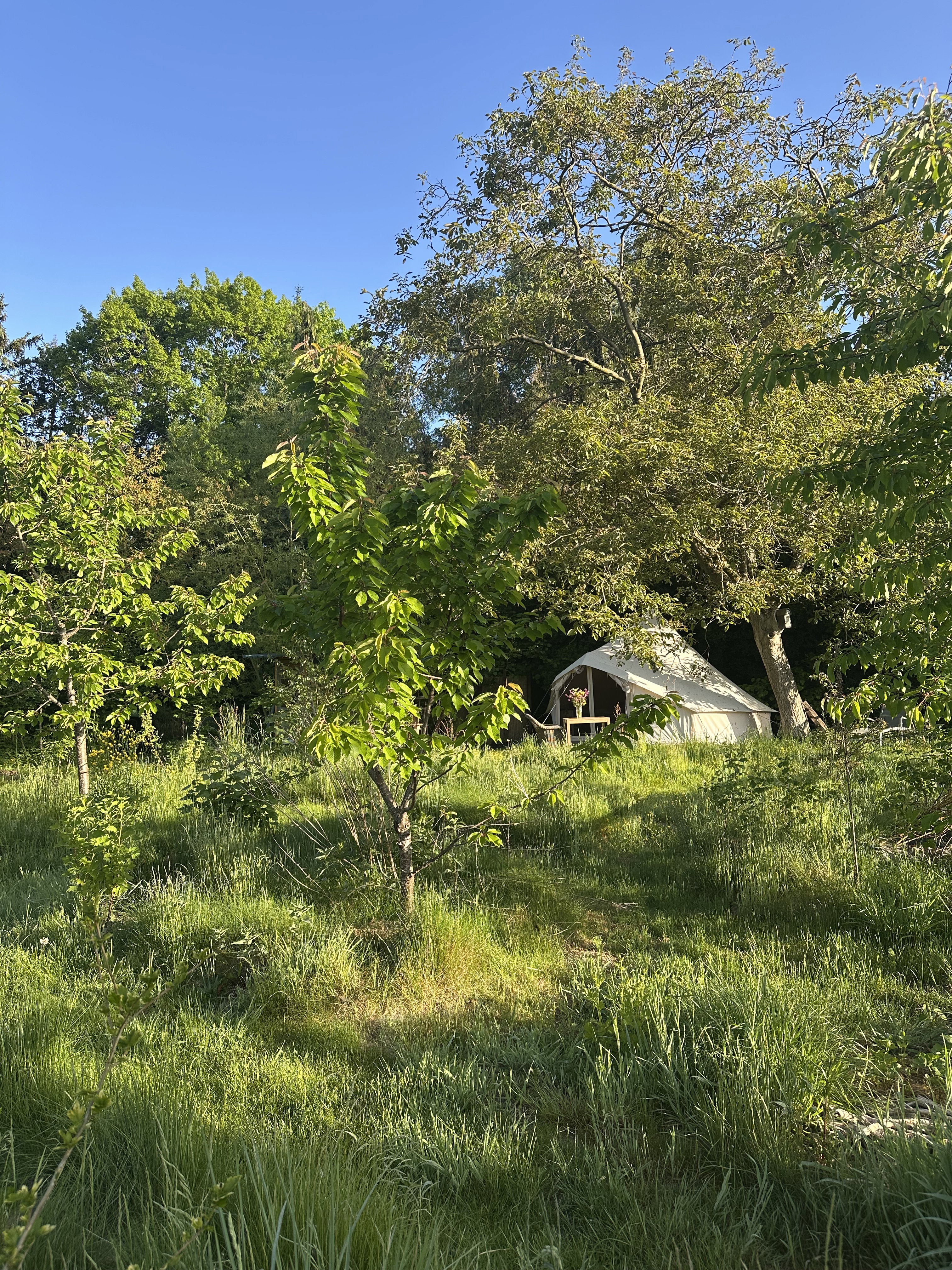 Naturhäuschen in Haasdonk