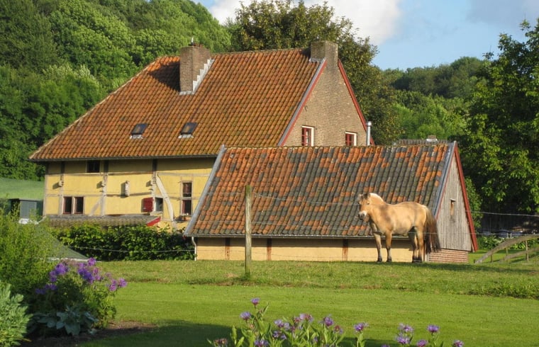 - image: 11
