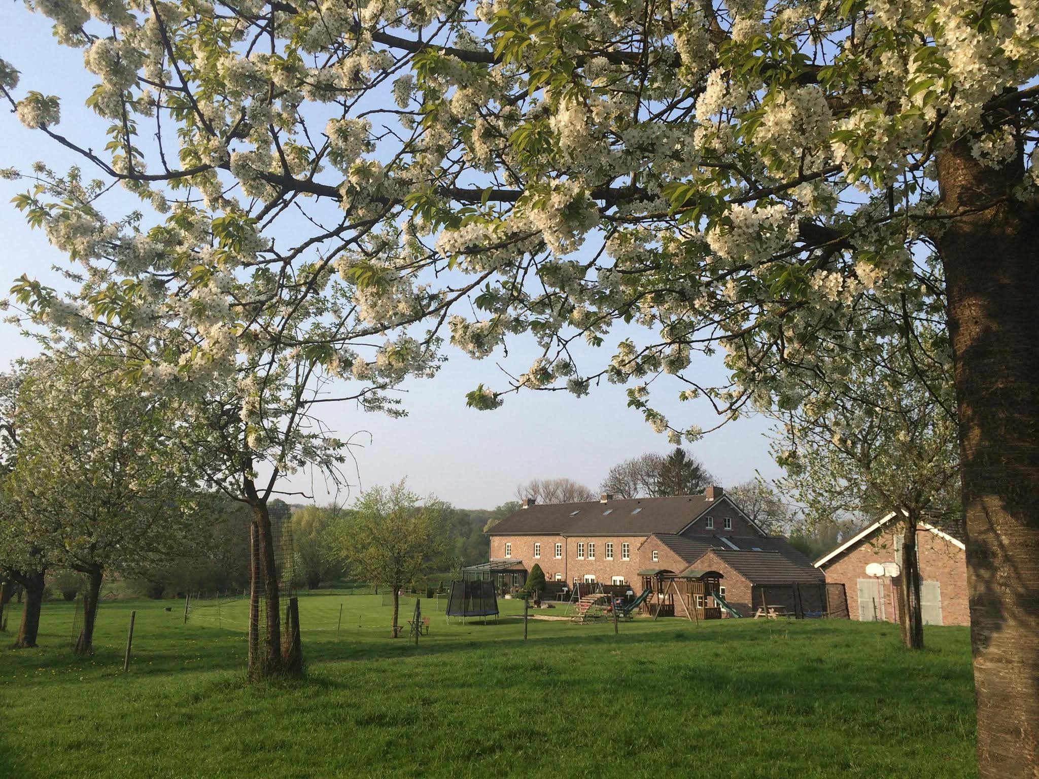 Maison nature à Gulpen