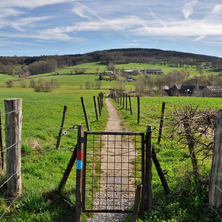 Maison nature à Gulpen