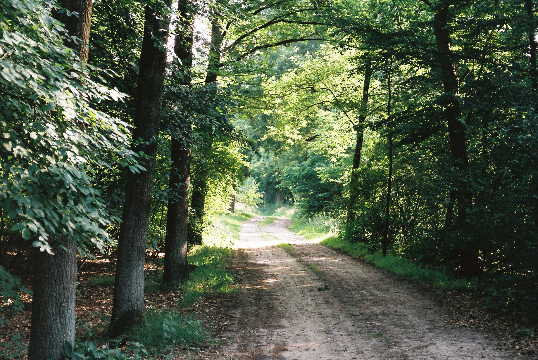 - image: 20