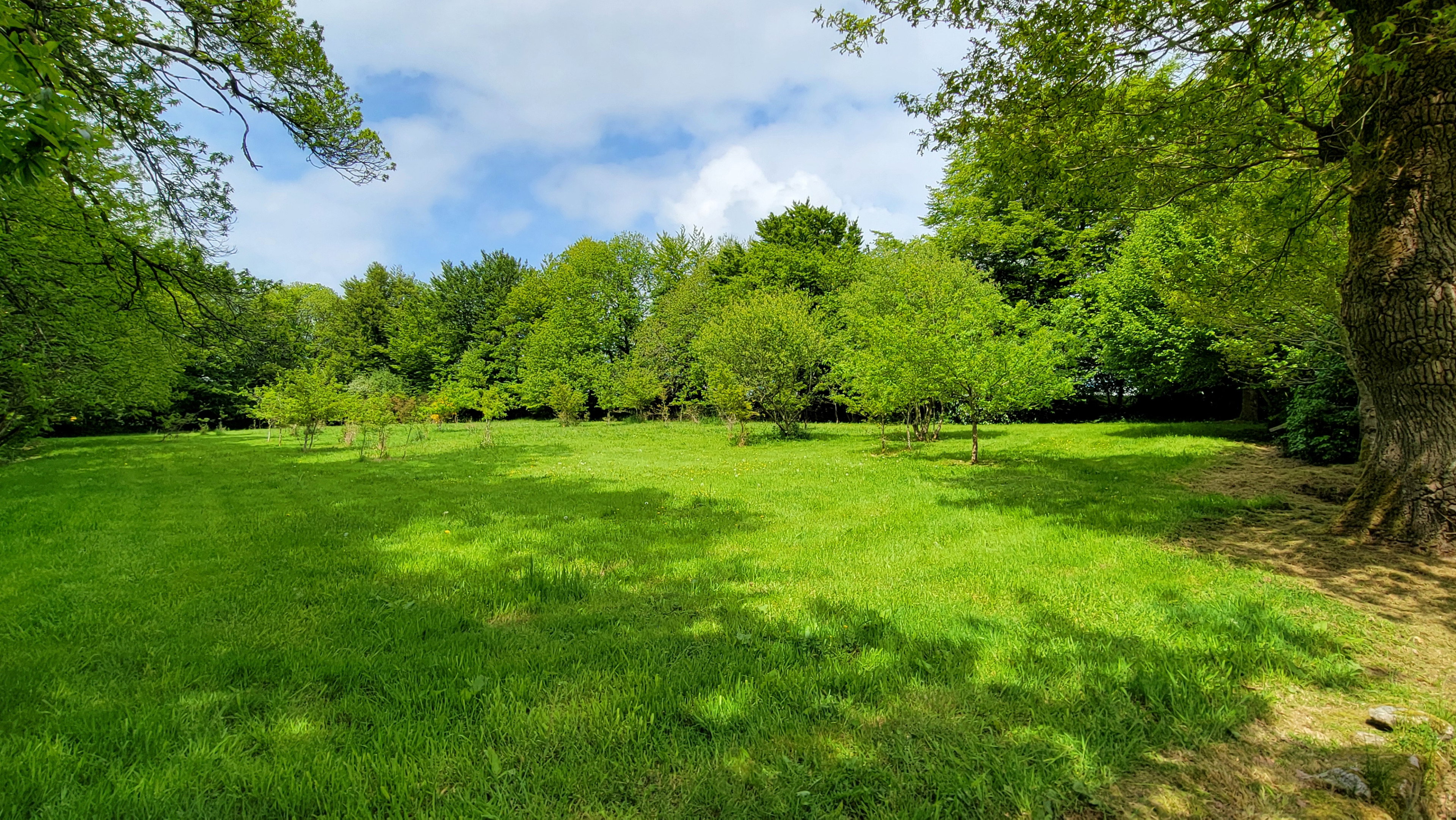 Natuurhuisje in Ploerdut