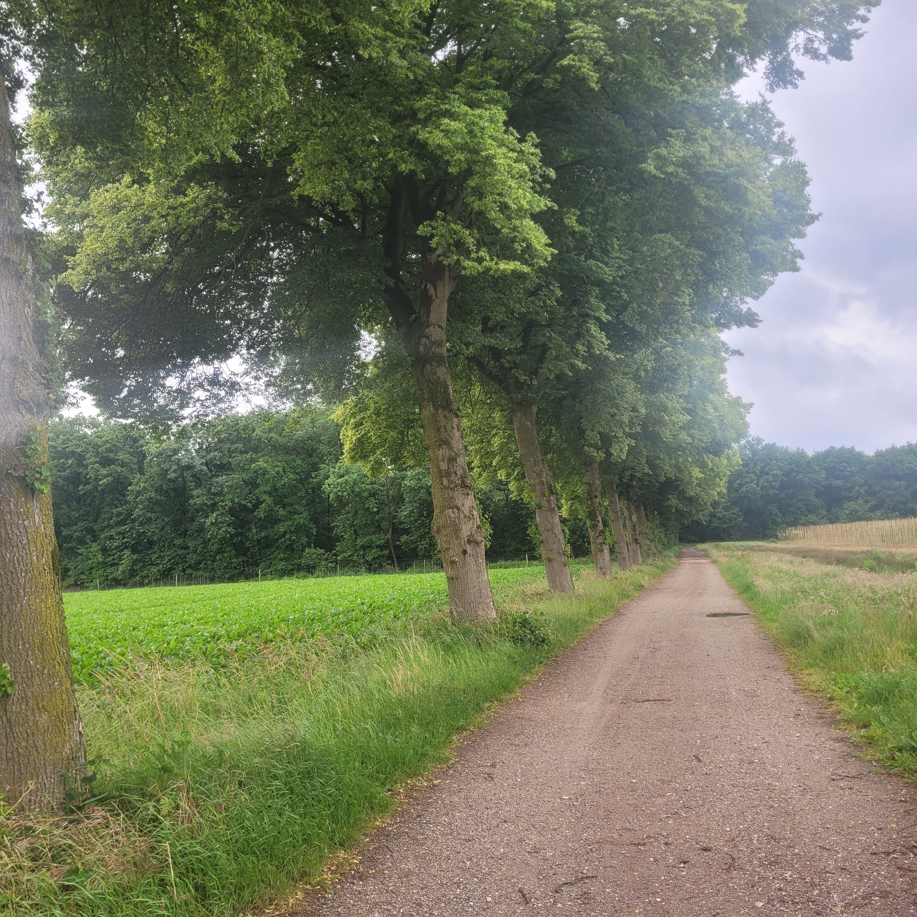 Natuurhuisje in Broekhuizenvorst