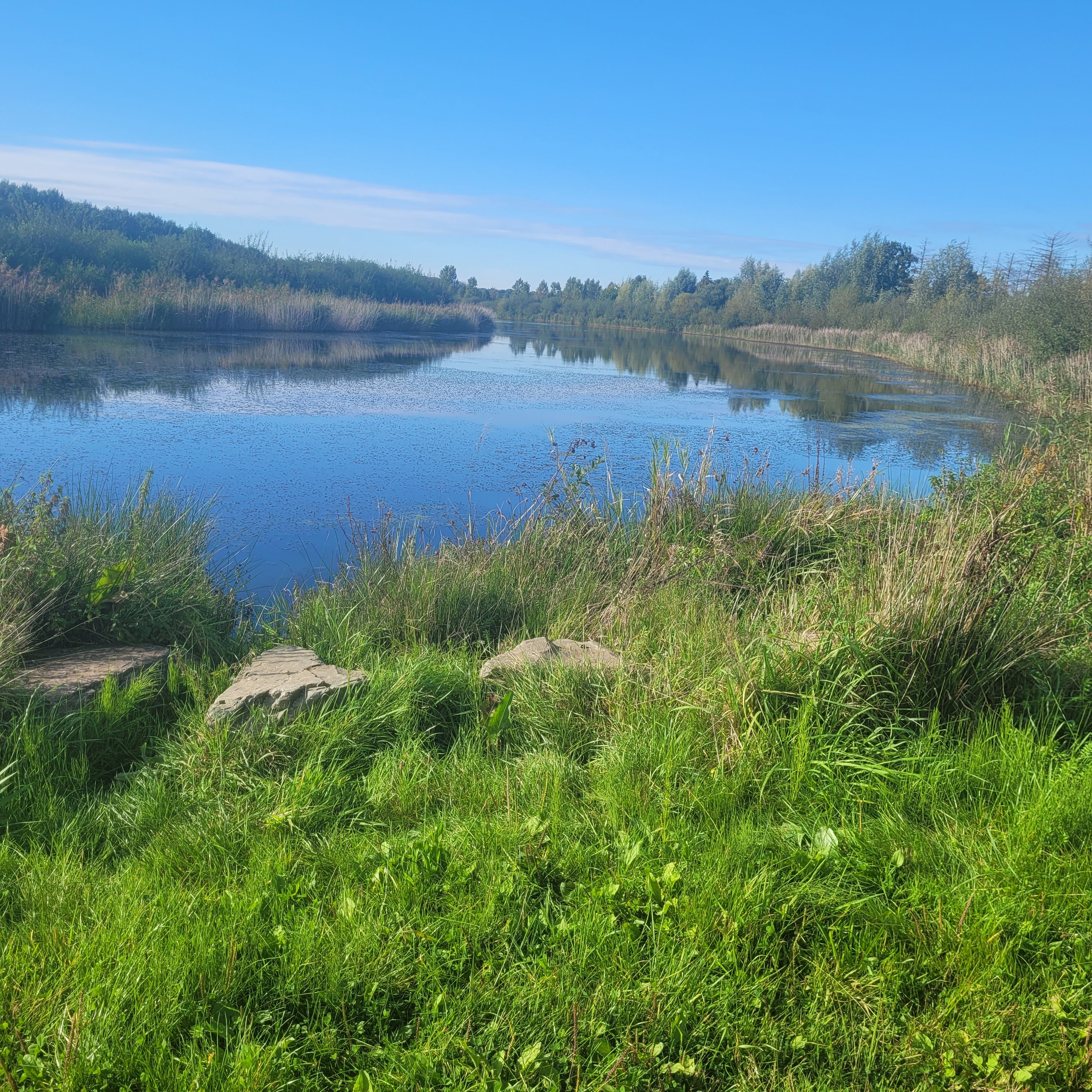 Natuurhuisje in Broekhuizenvorst