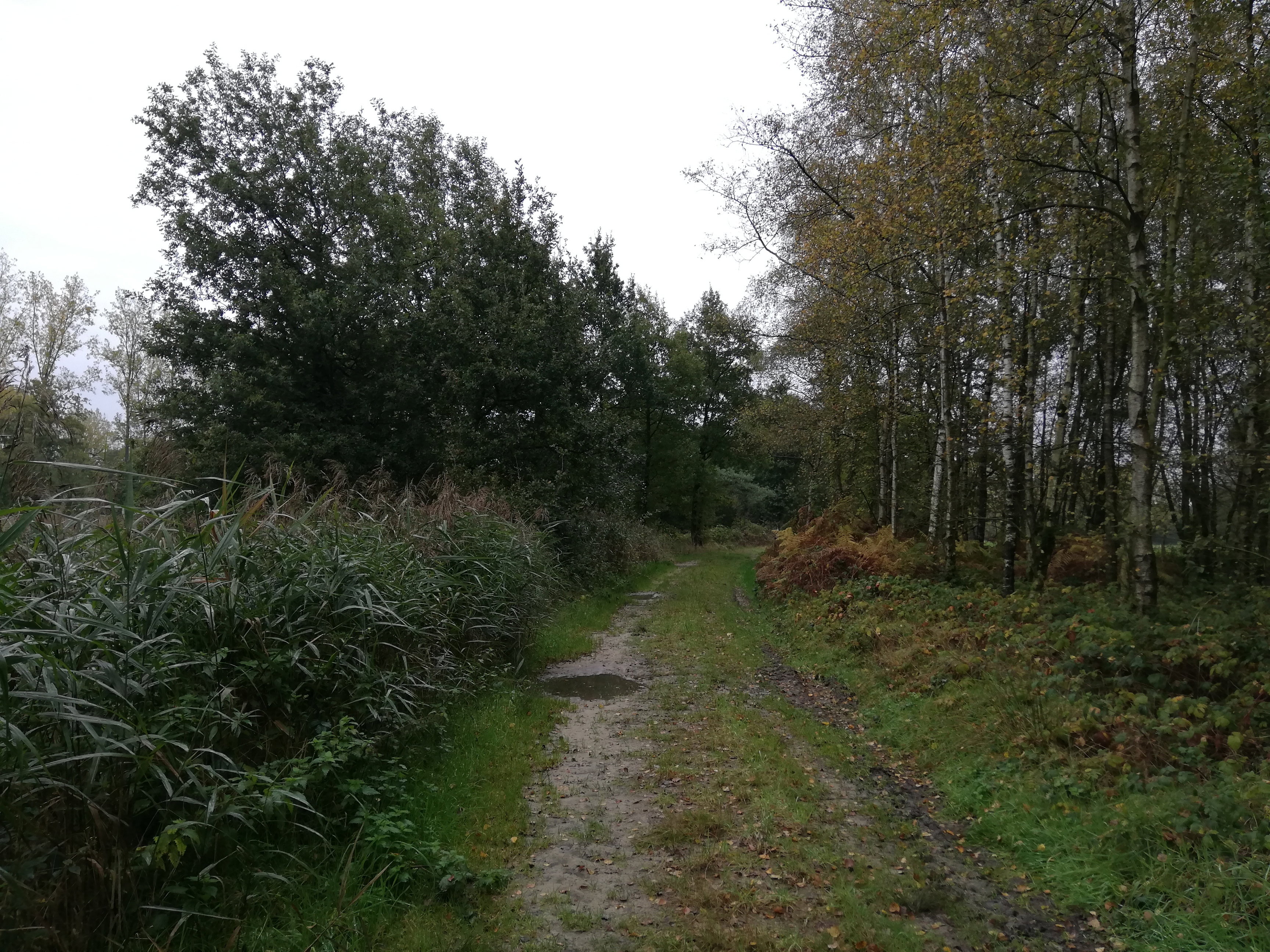 - image: 25