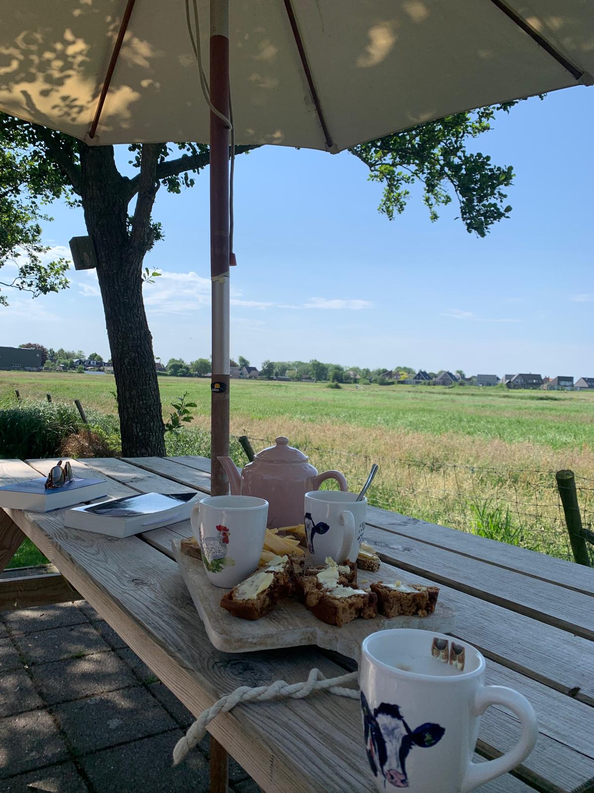 Natuurhuisje in Elahuizen