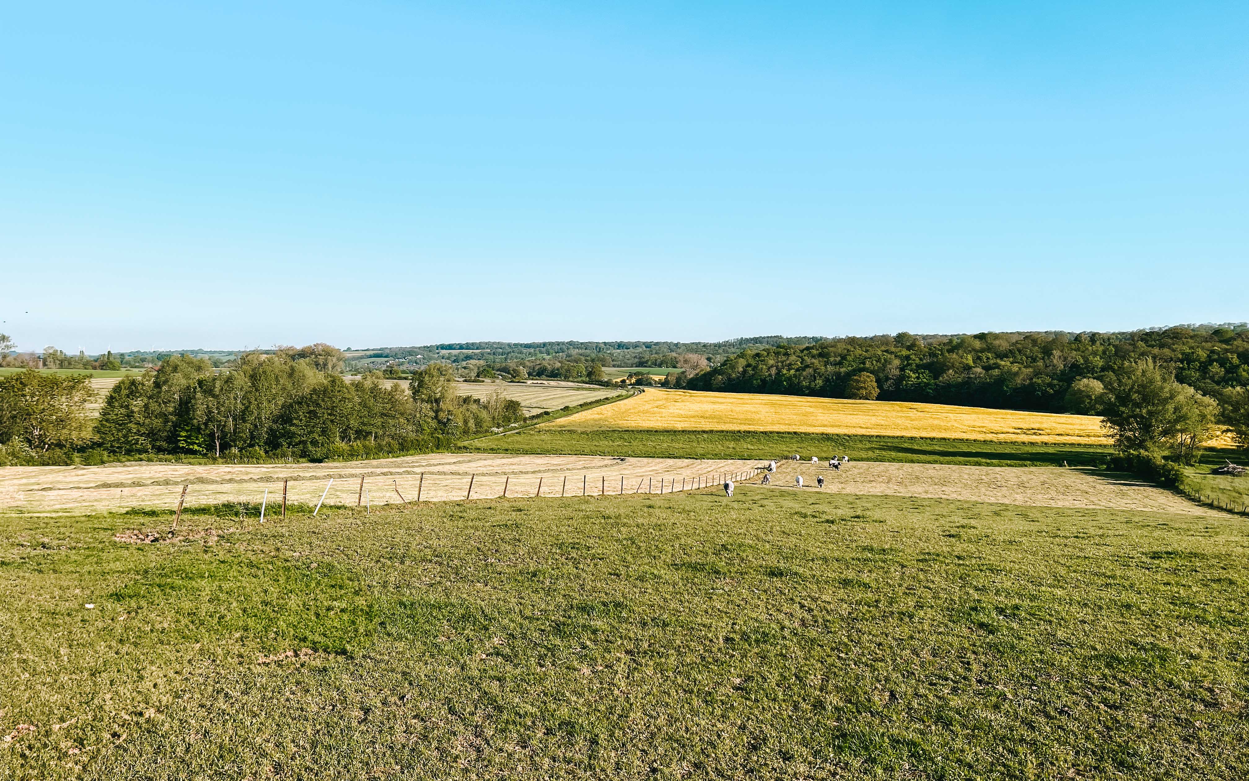 Natuurhuisje in SENZEILLES