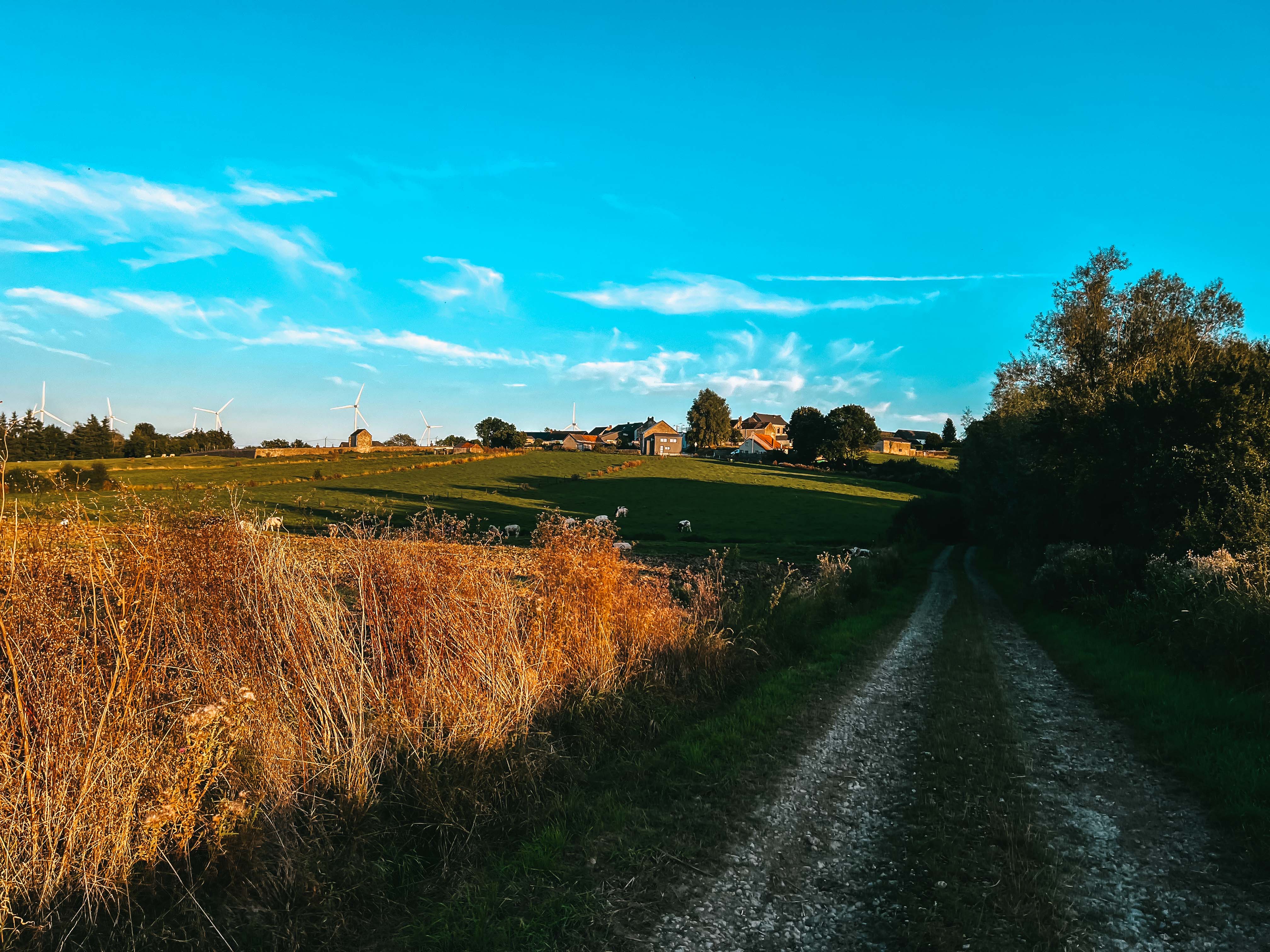 Natuurhuisje in SENZEILLES
