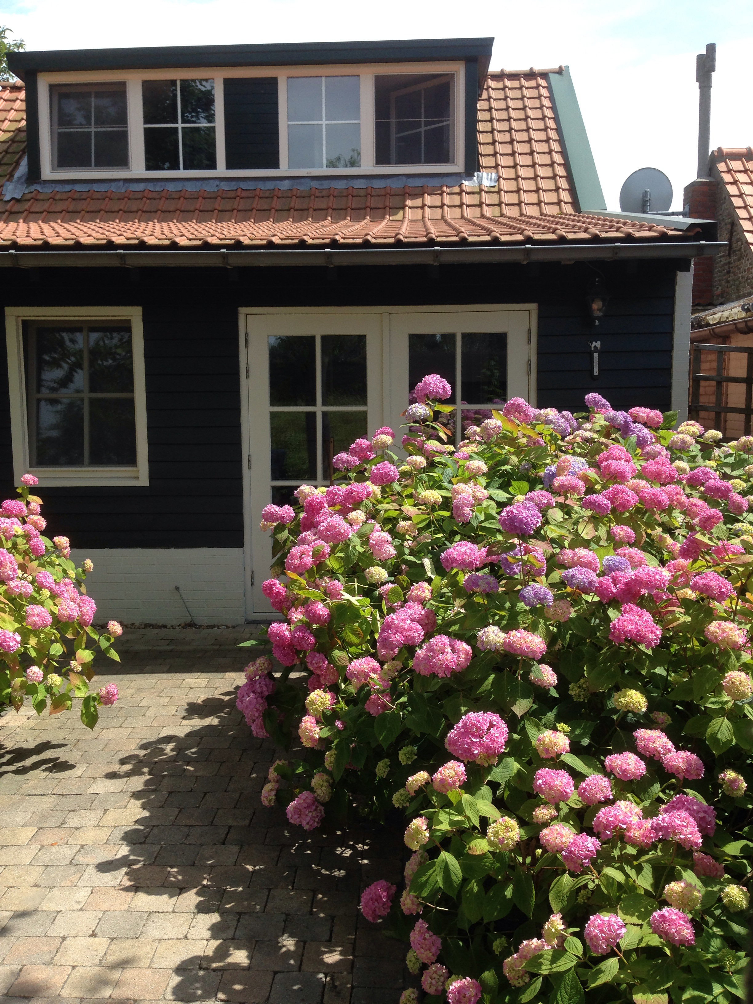 Casa nella natura a Schoondijke