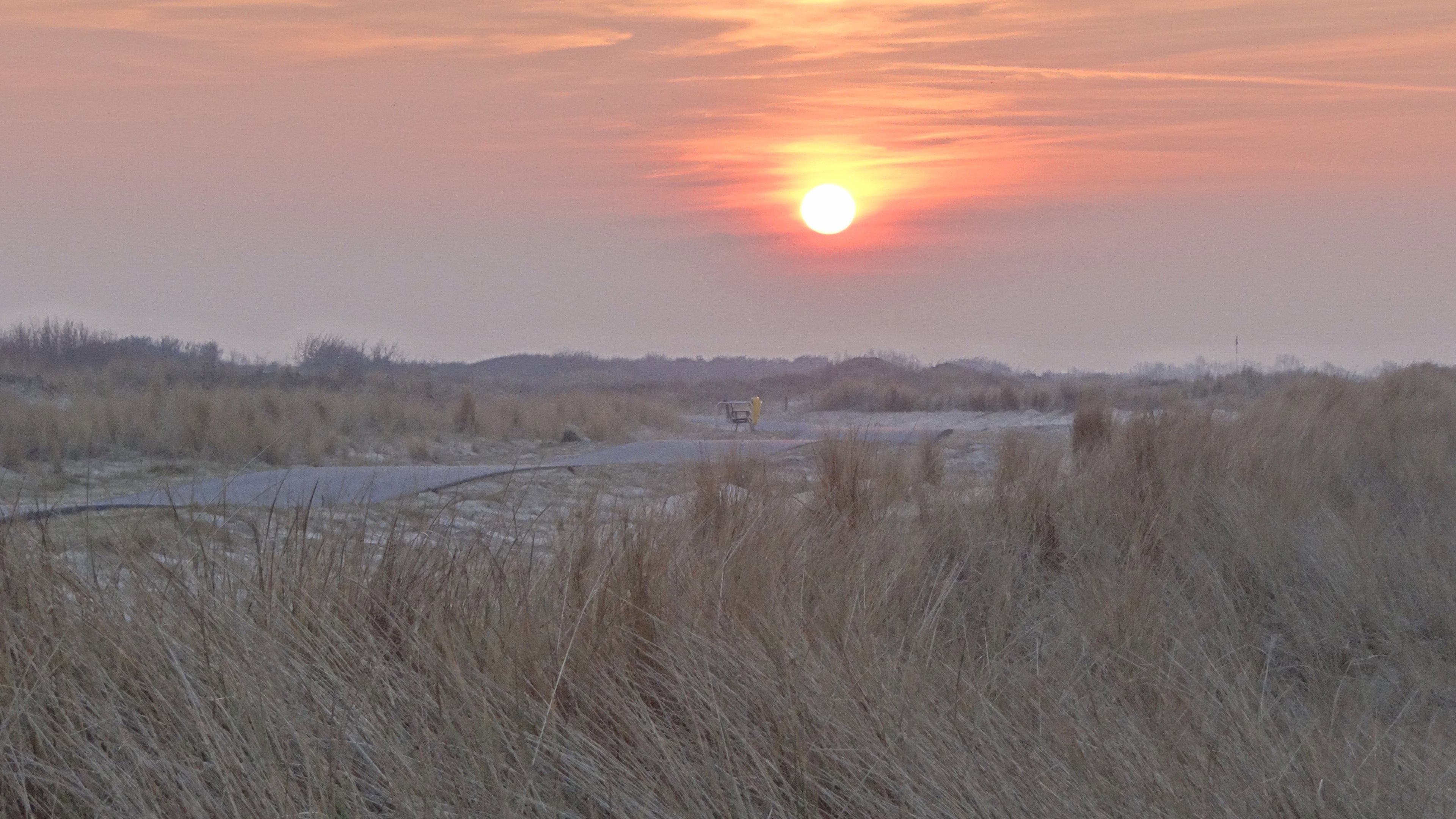 Casa nella natura a Schoondijke