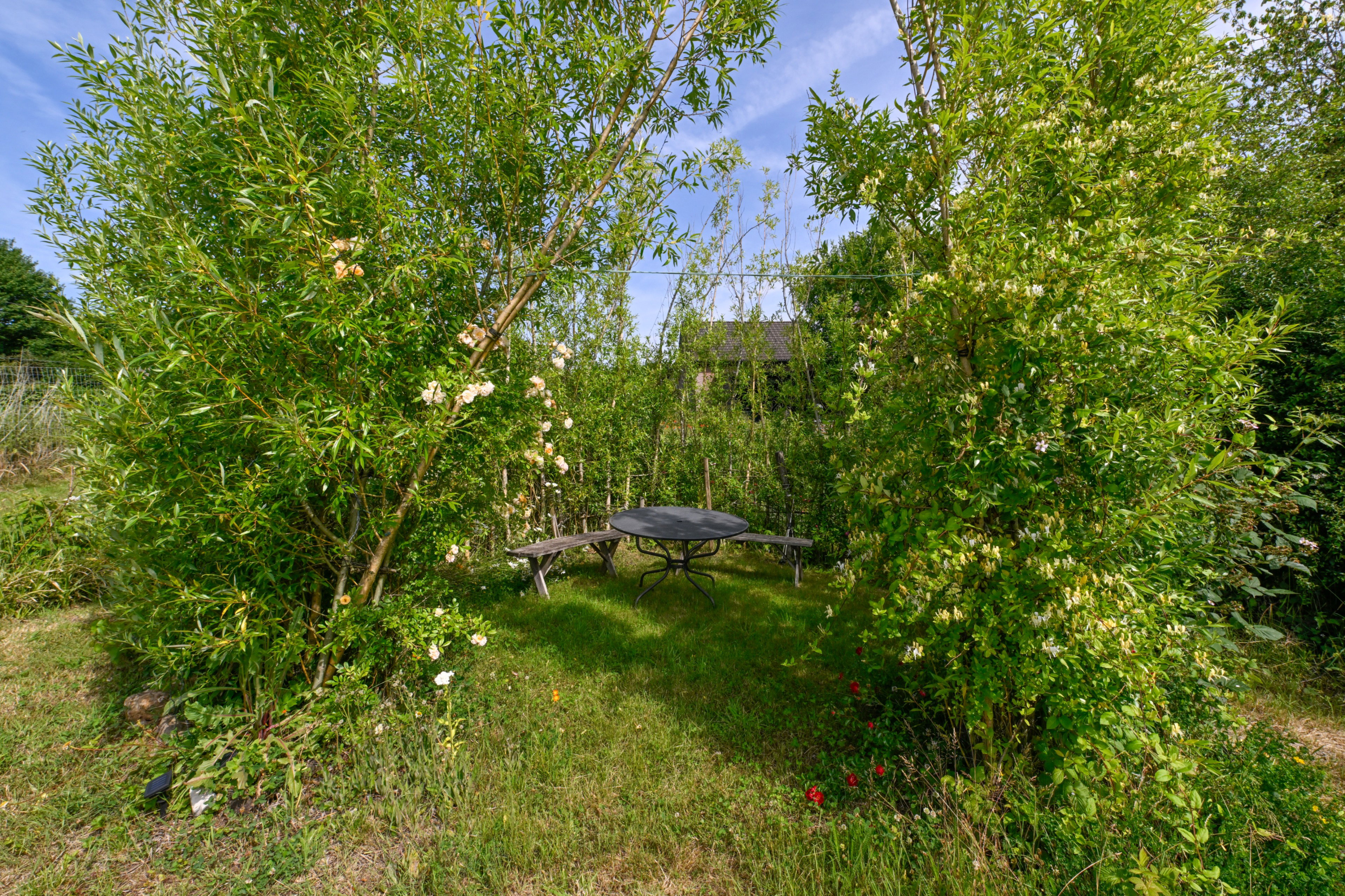 - image: 53