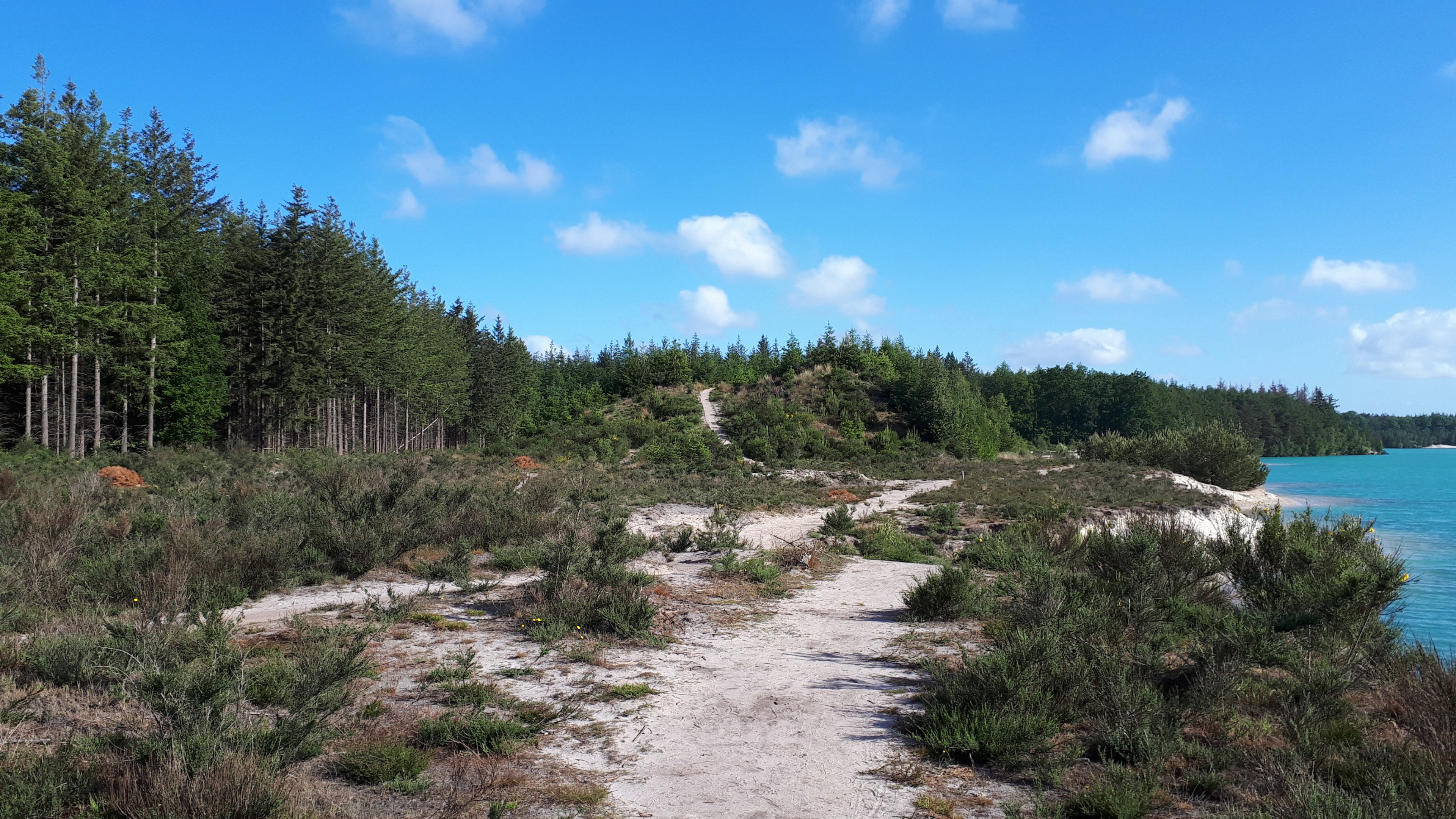 Naturhäuschen in Gasselte