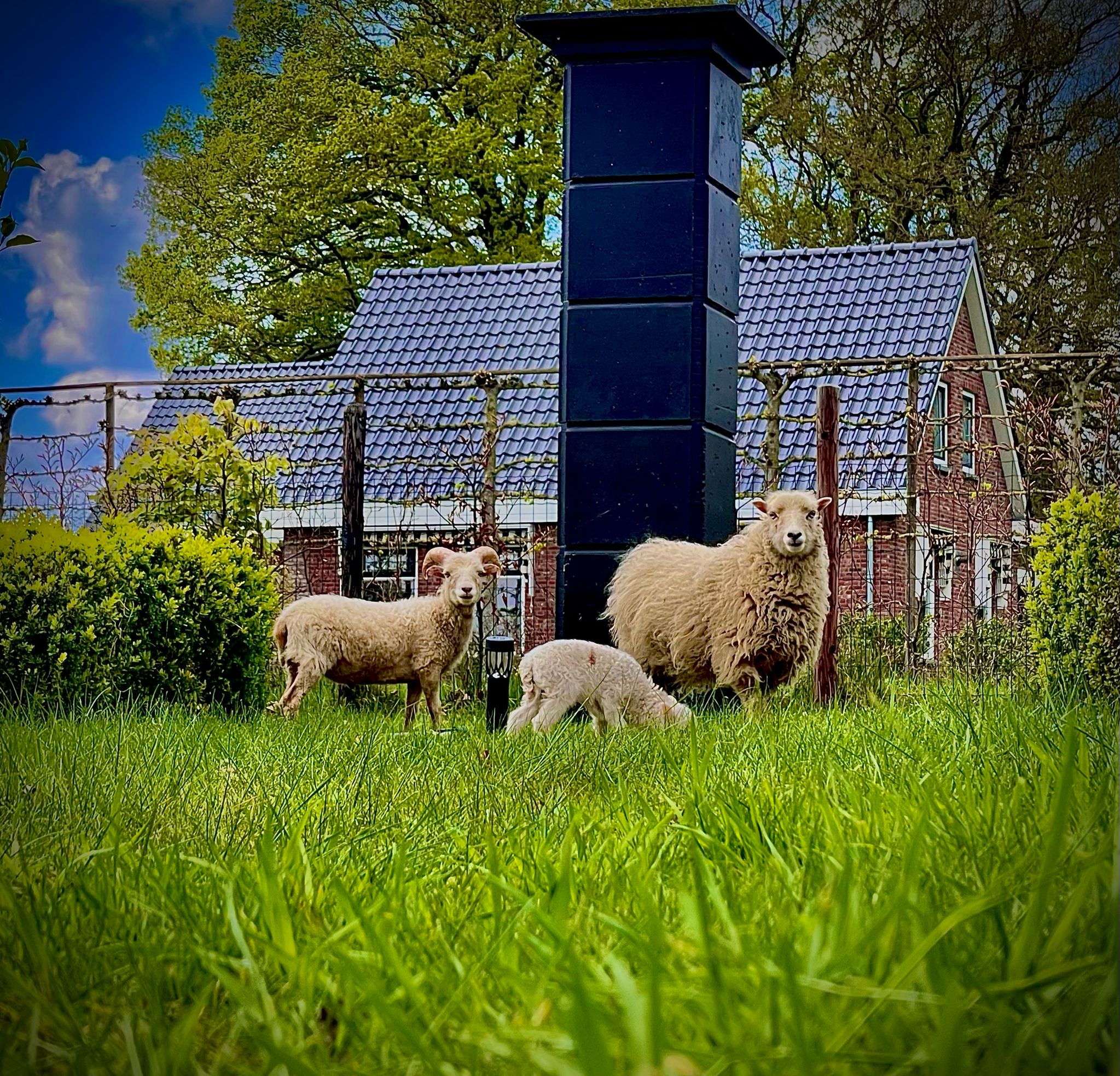 Natuurhuisje in Zuidveld