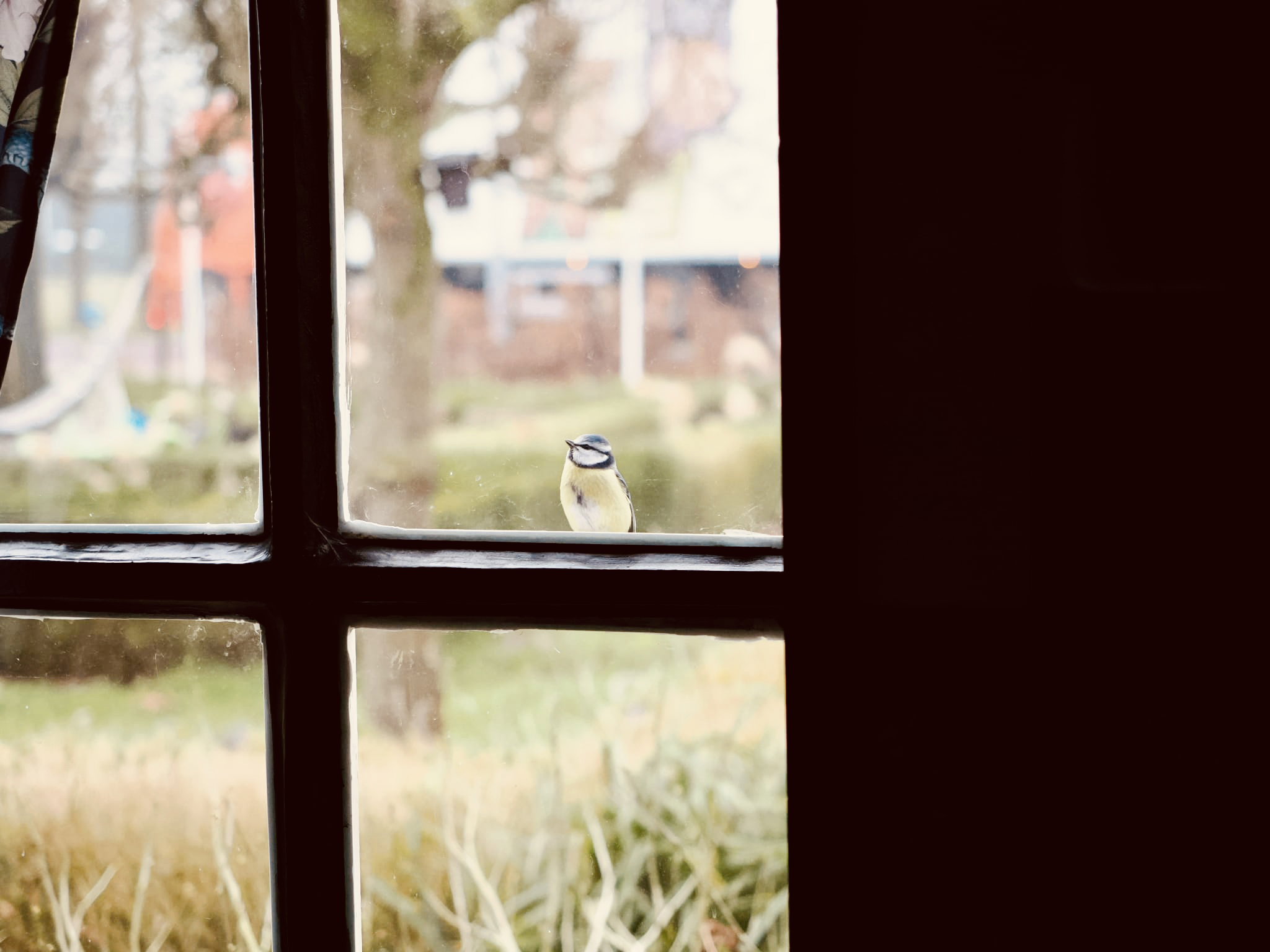 Natuurhuisje in Zuidveld