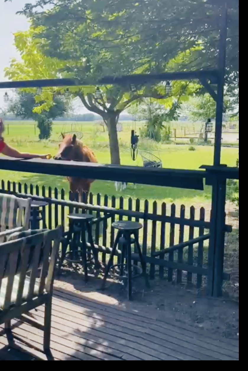 Natuurhuisje in Zuidveld