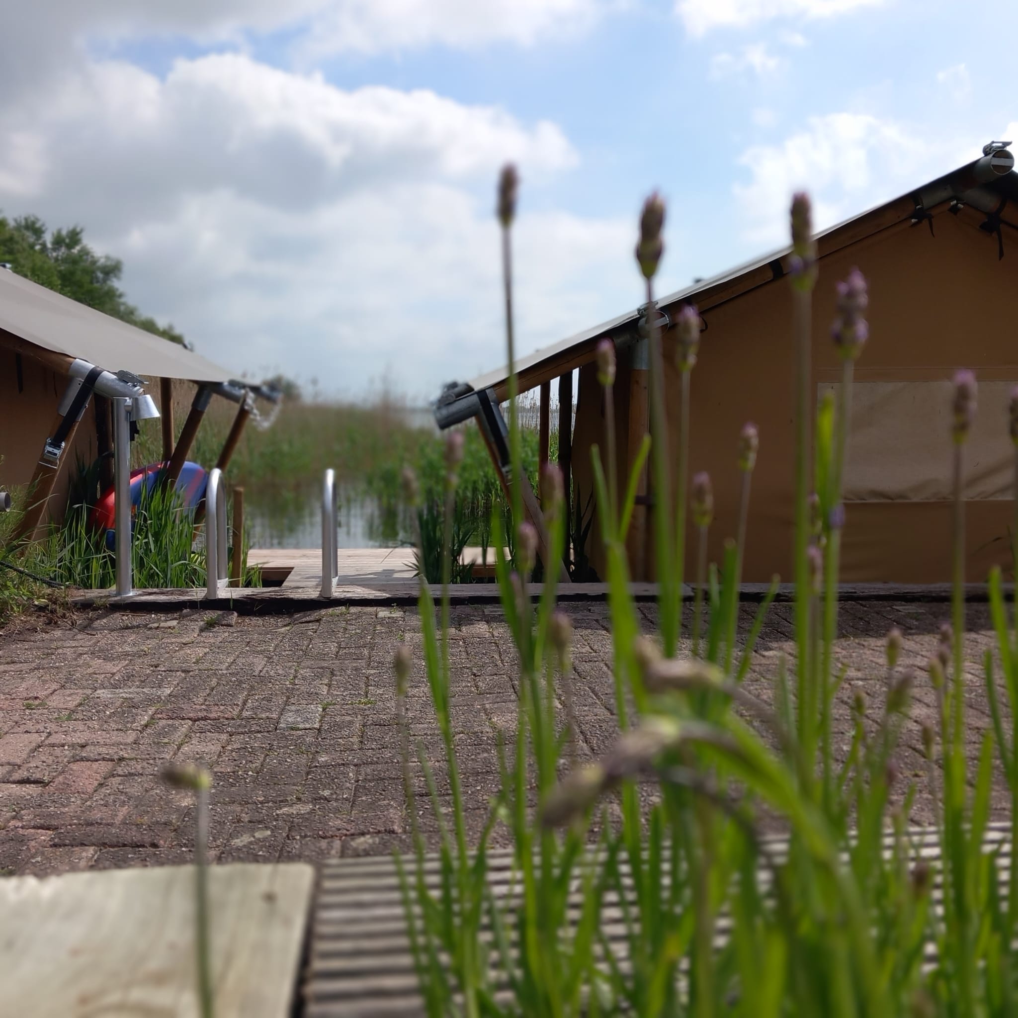 Natuurhuisje in Biddinghuizen