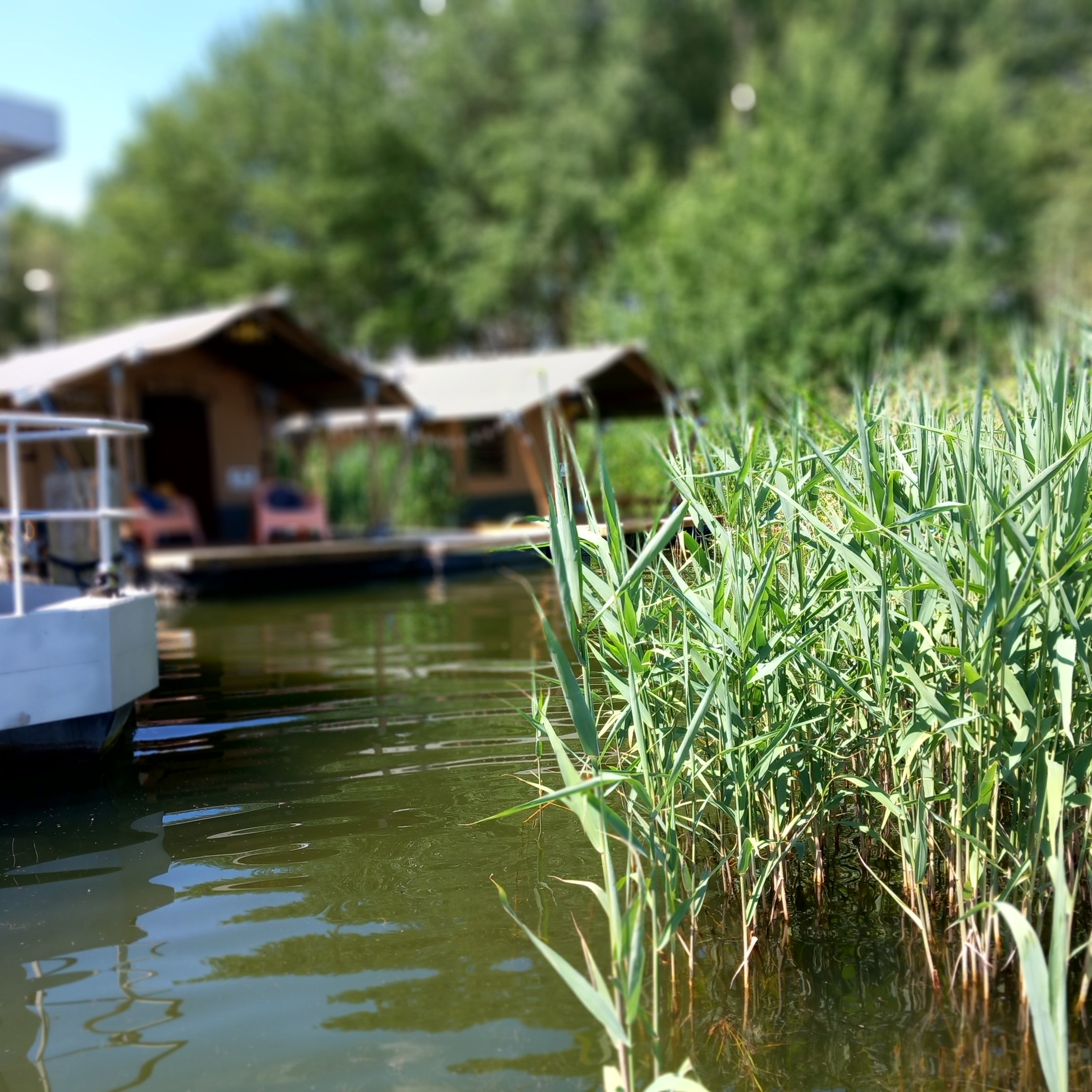 Natuurhuisje in Biddinghuizen