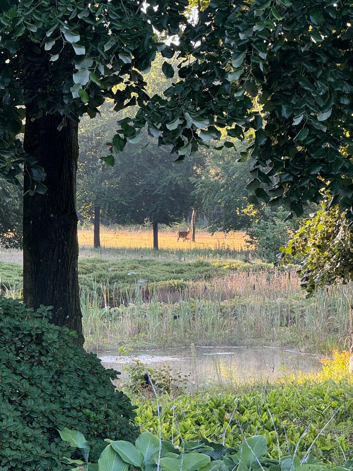 Natuurhuisje in Ede