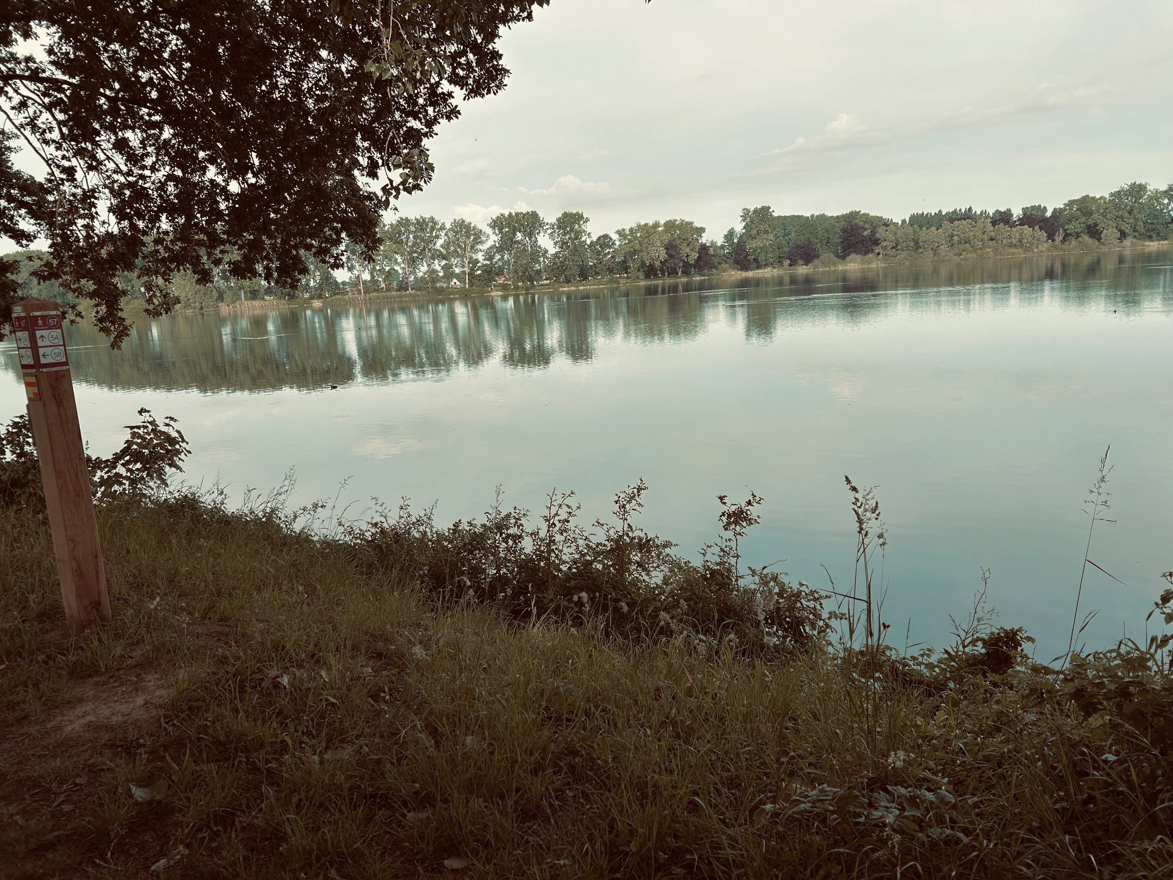 - image: 14