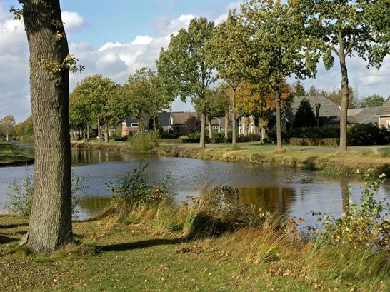 - image: 23