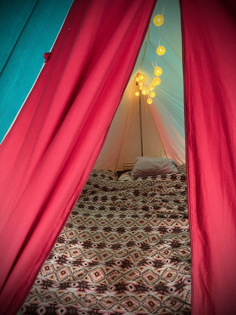 - image: 6