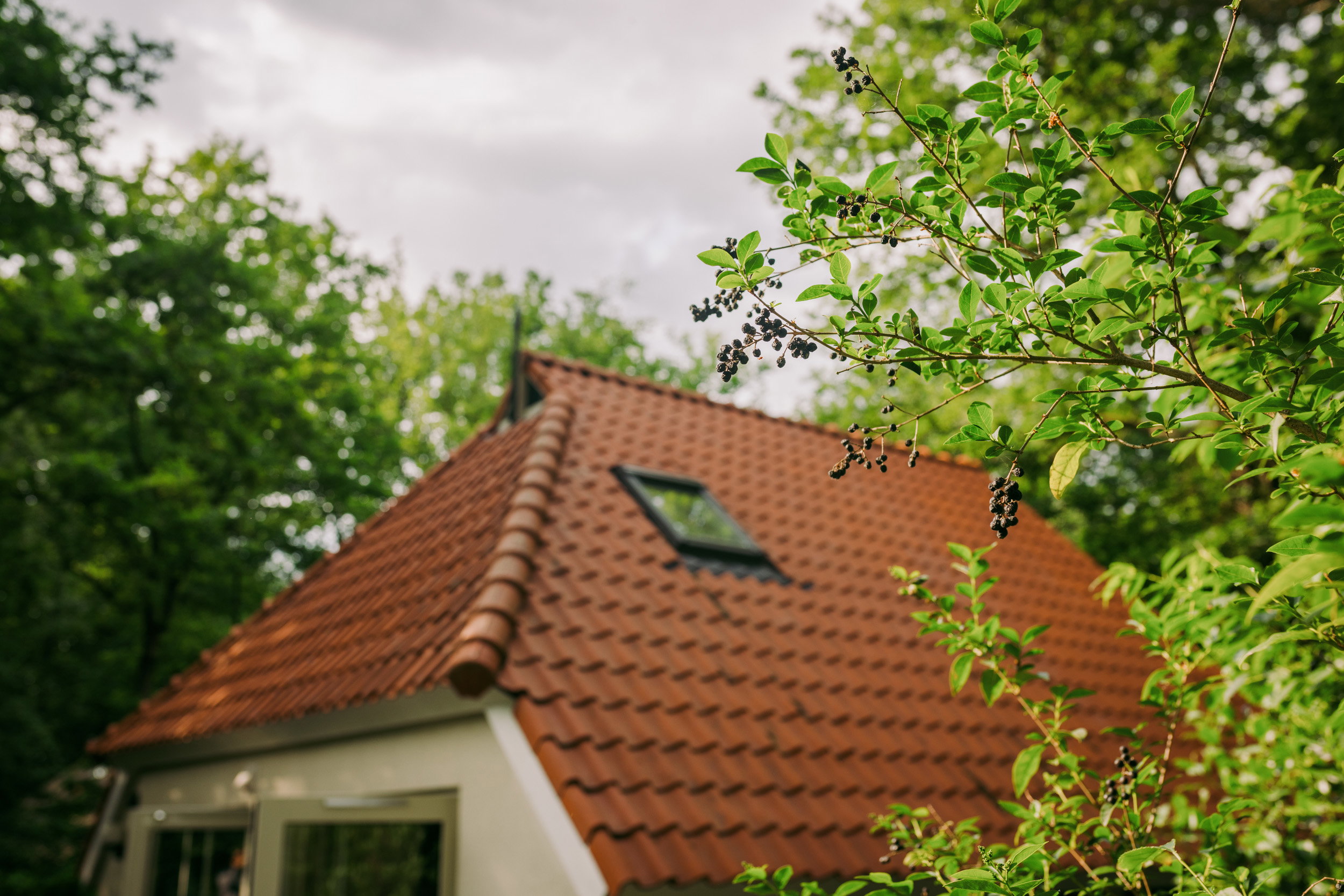 Natuurhuisje in IJhorst