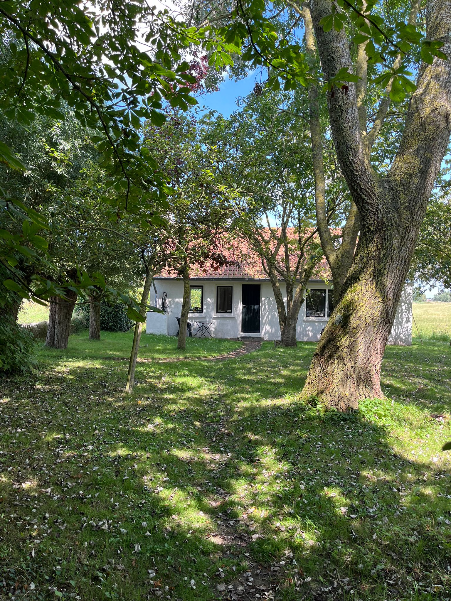 Casa nella natura a Waterlandkerkje