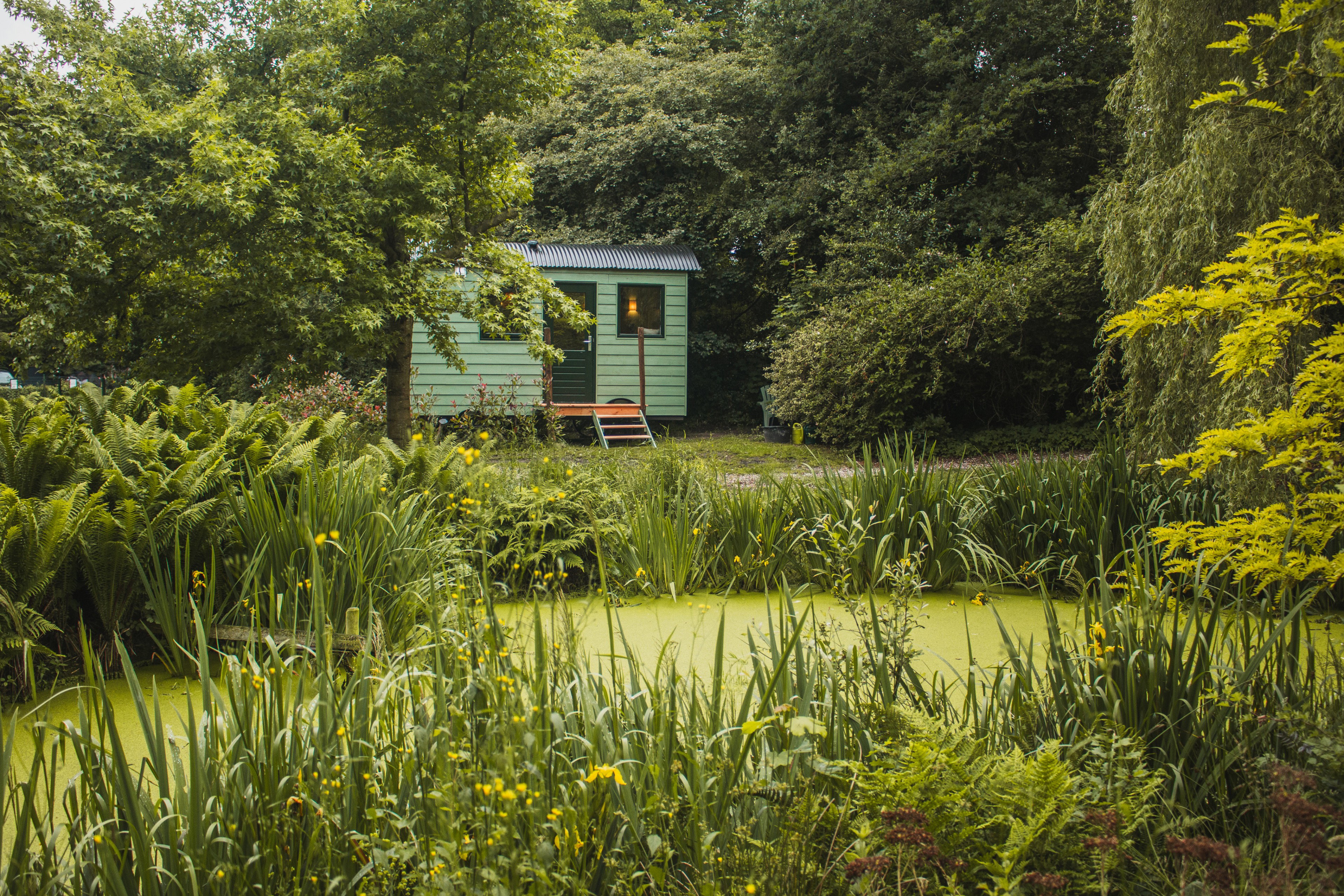 Natuurhuisje in Waskemeer