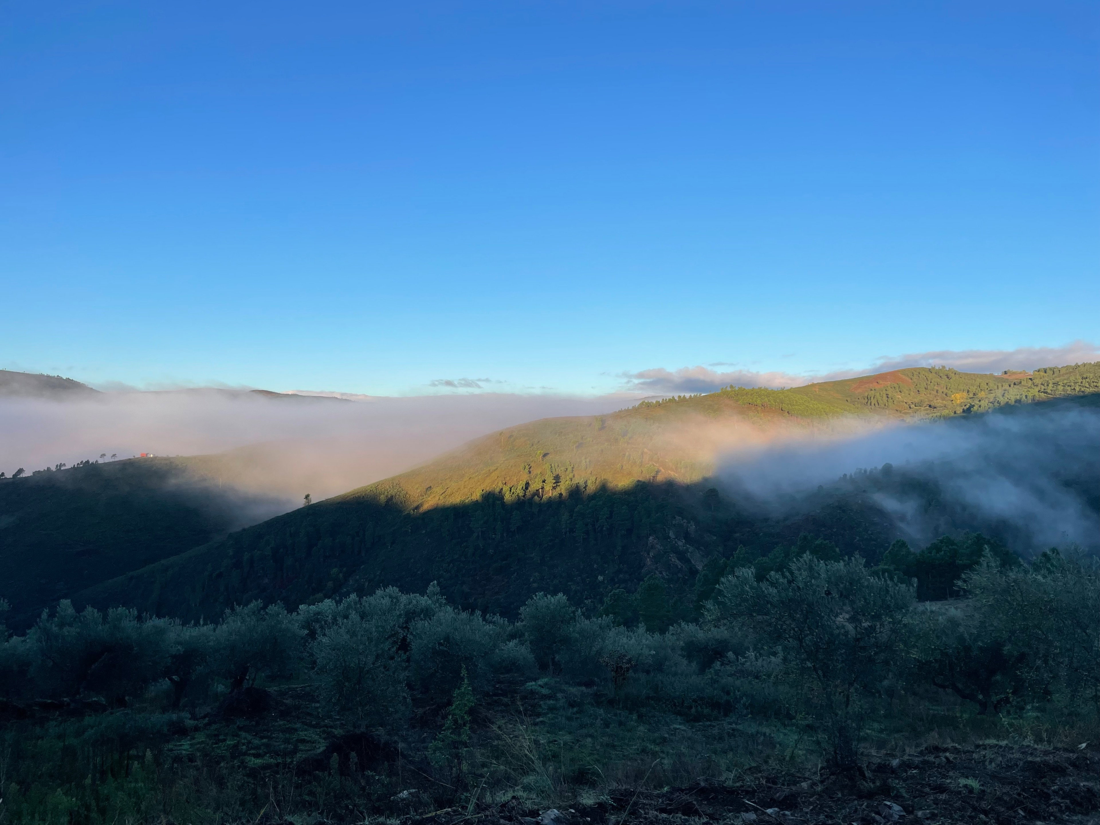 Casa nella natura a Palas