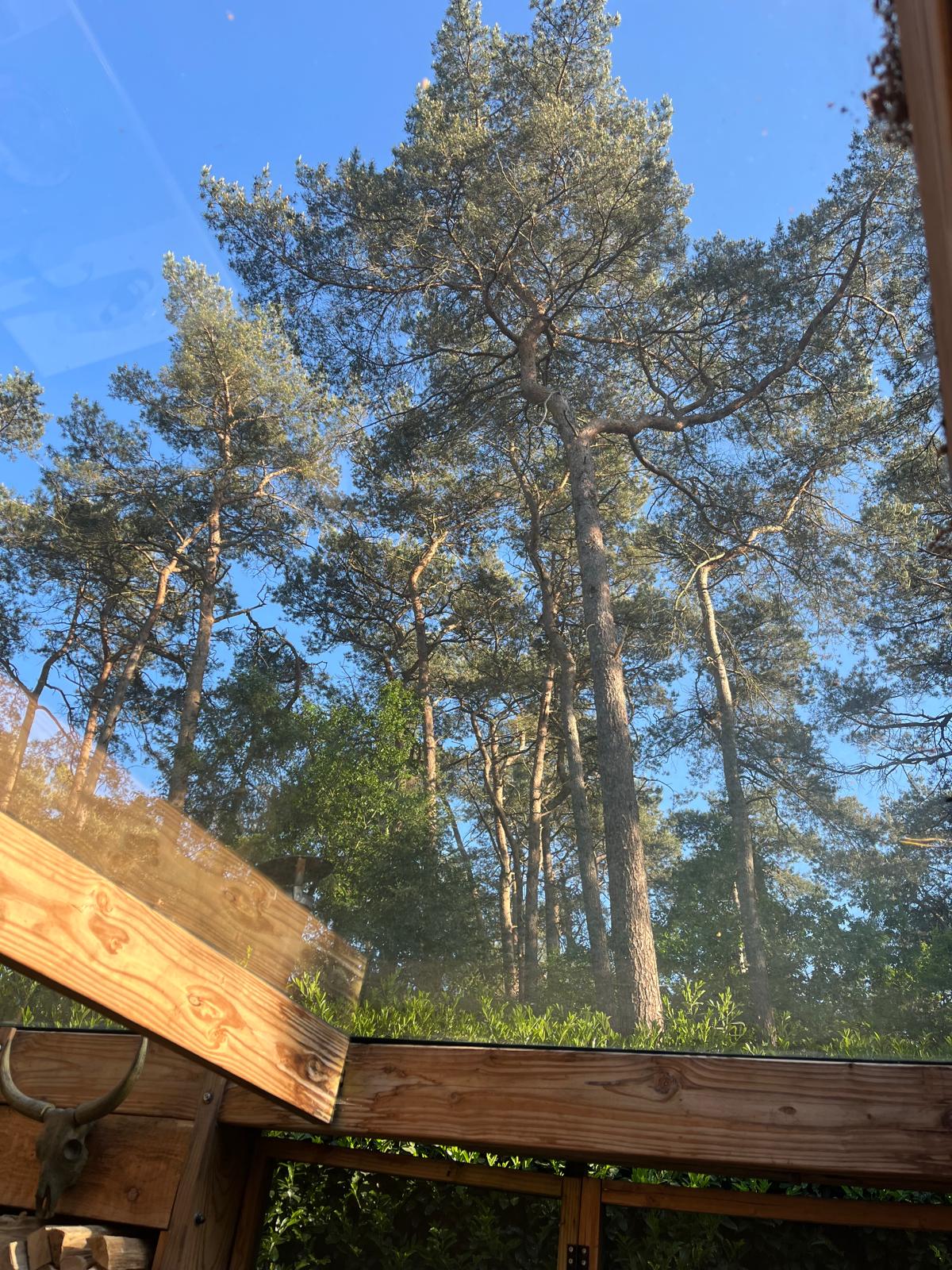 Casa nella natura a Ommen