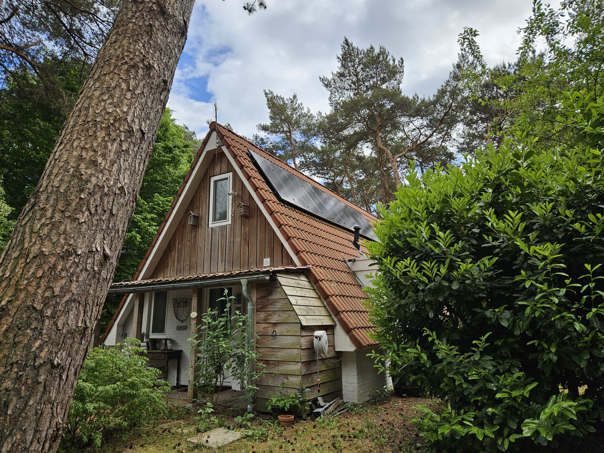 Casa nella natura a Ommen