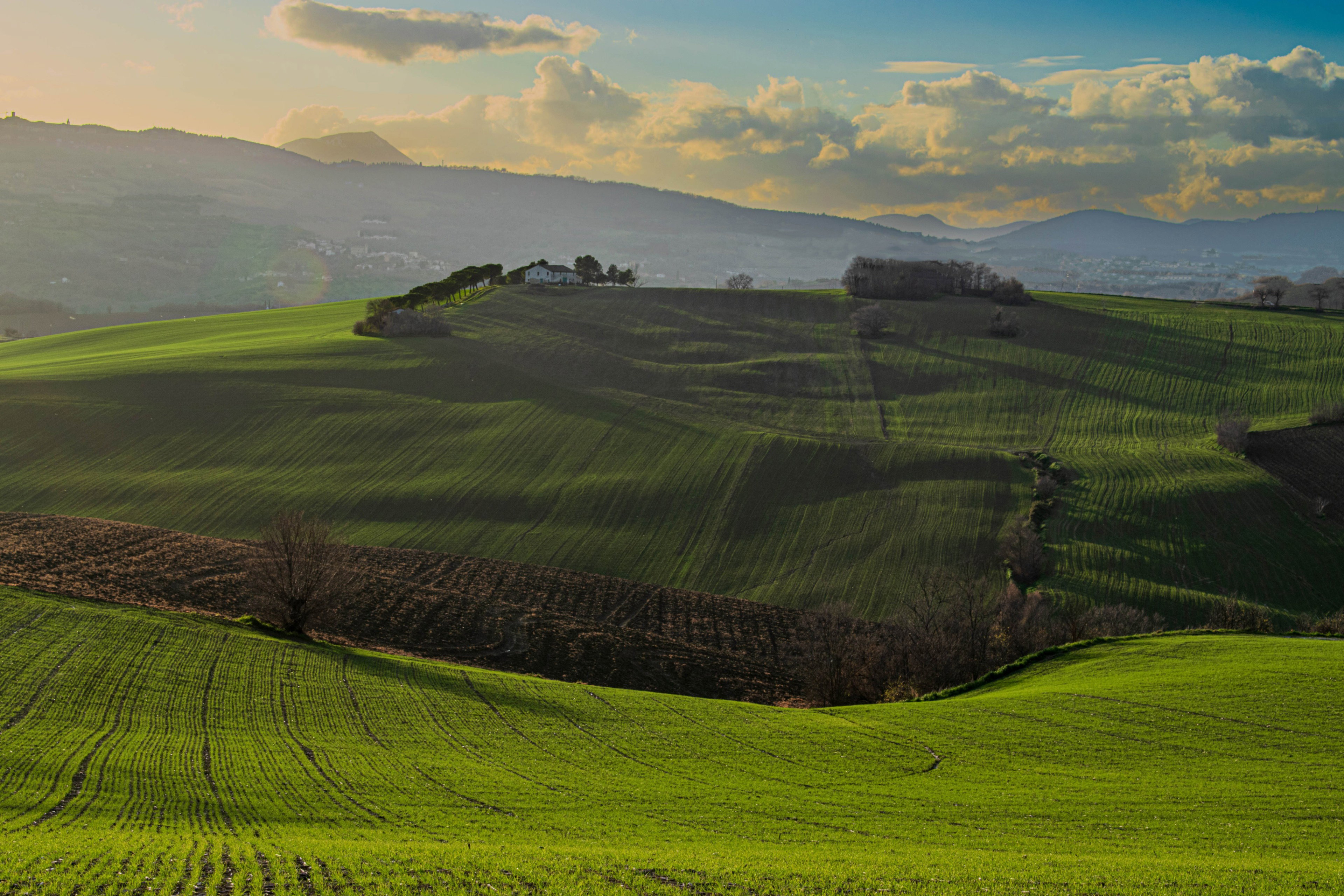 - image: 11