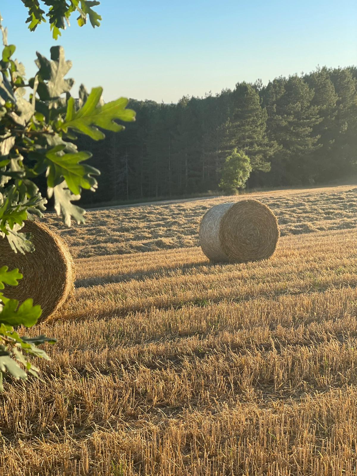 Maison nature à Pampelonne