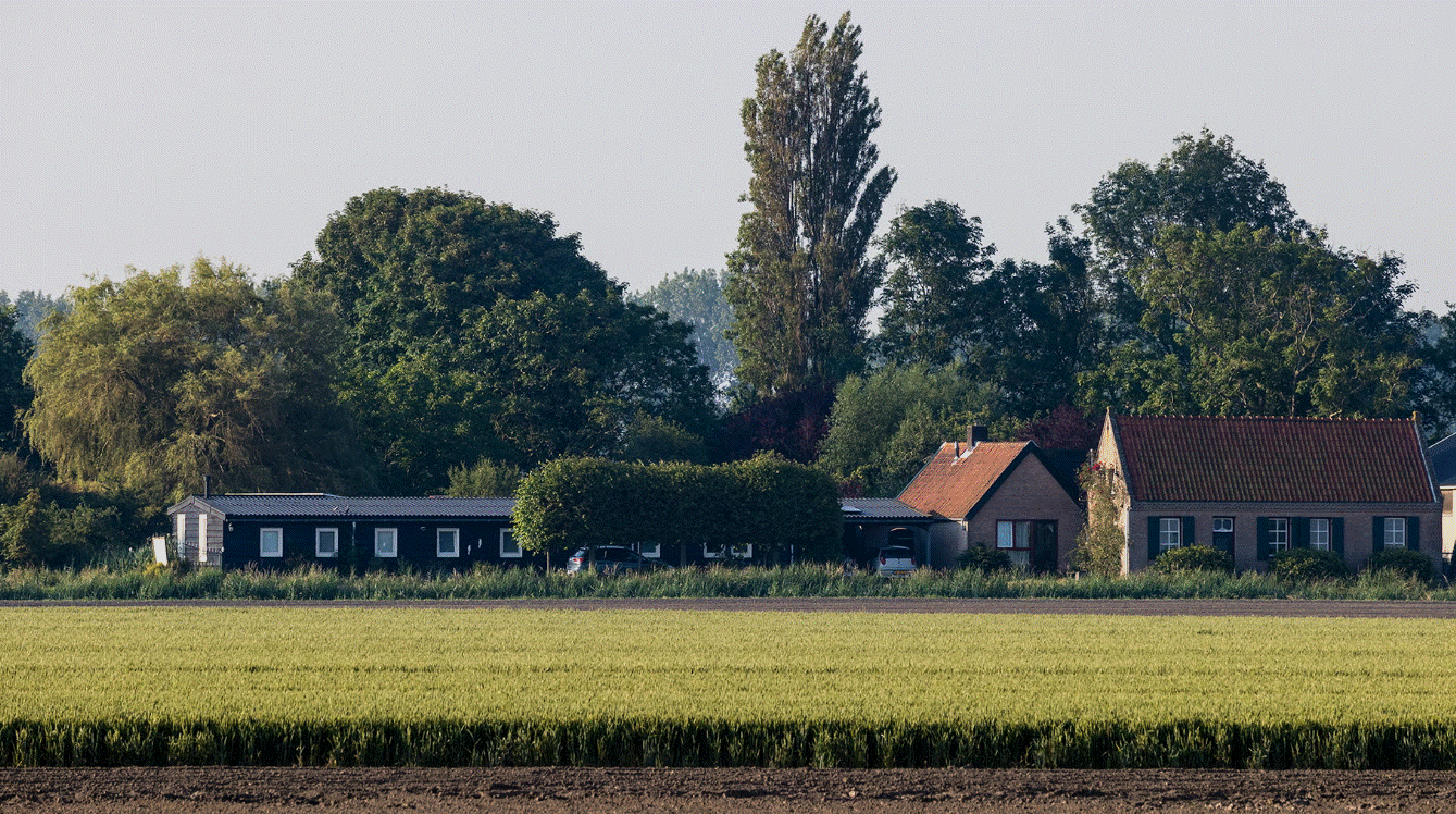- image: 29