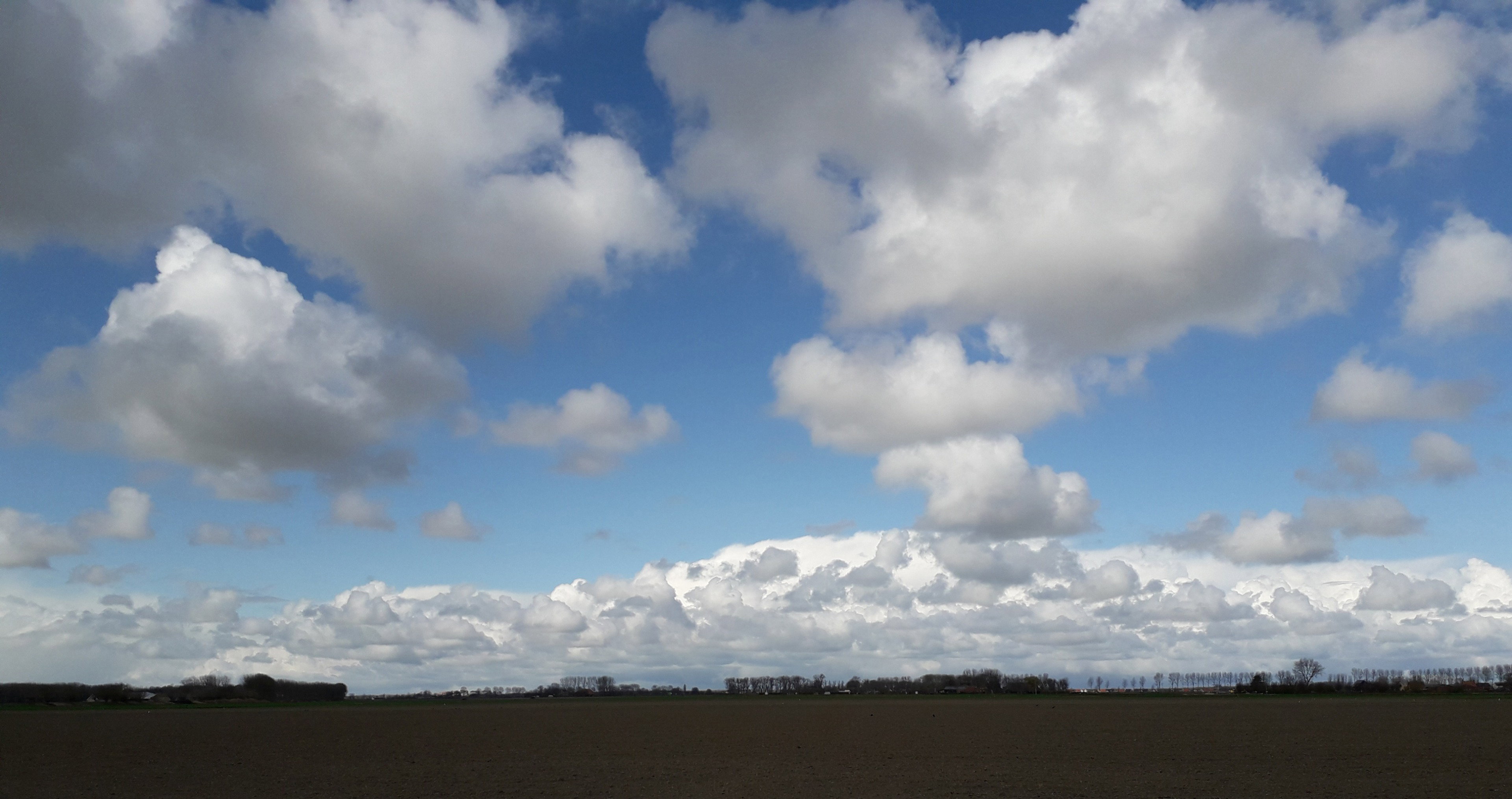 - image: 16