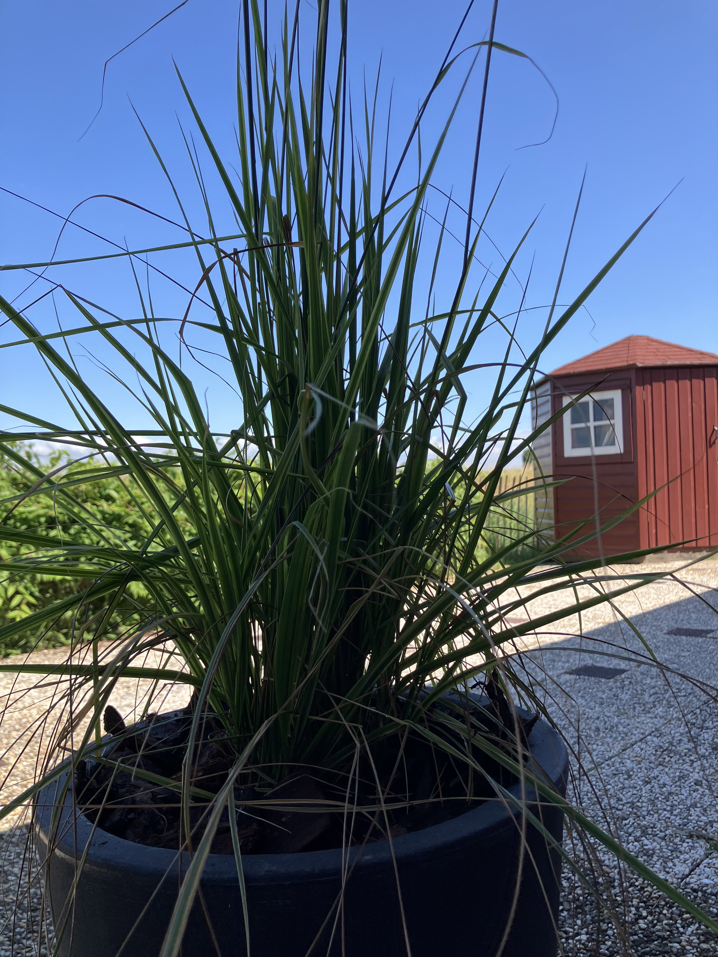 Natuurhuisje in Warmenhuizen