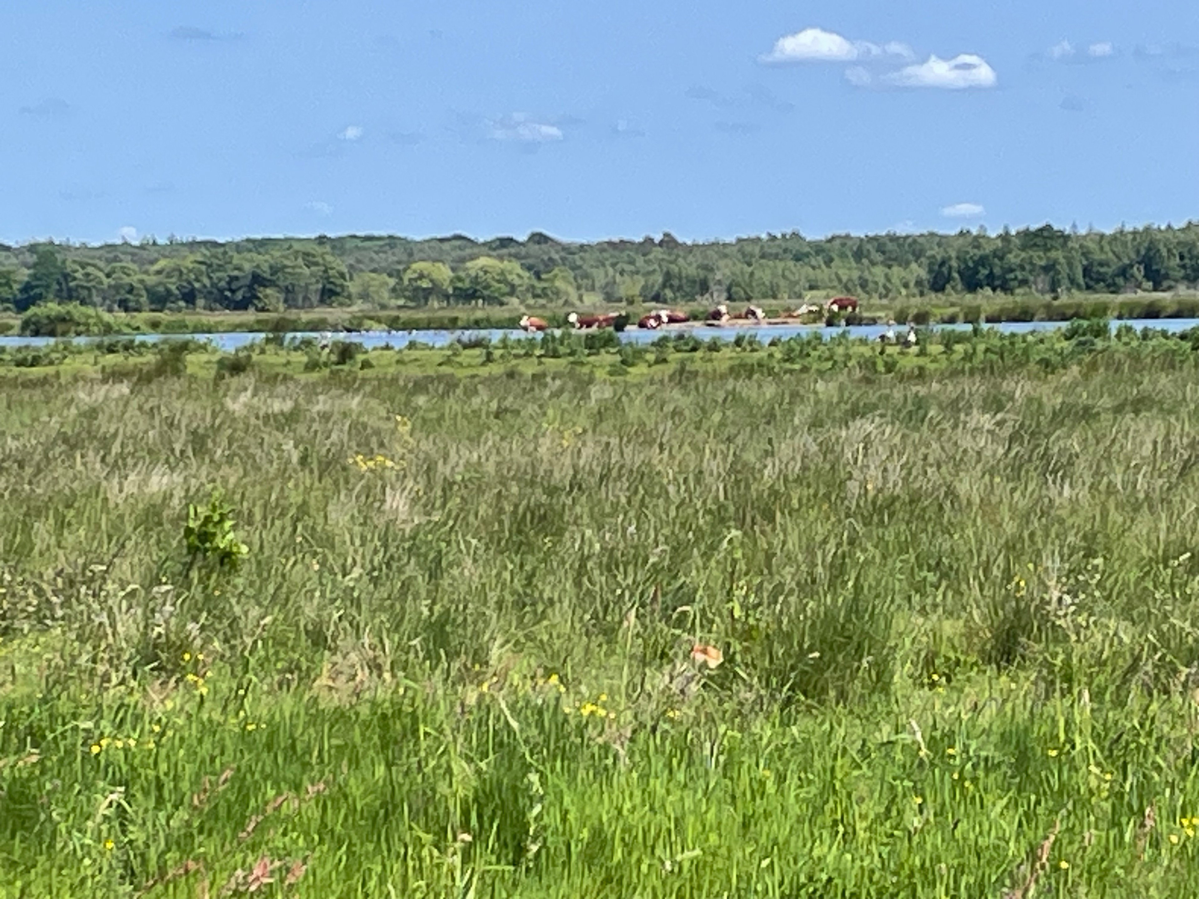 Natuurhuisje in Oosterwolde