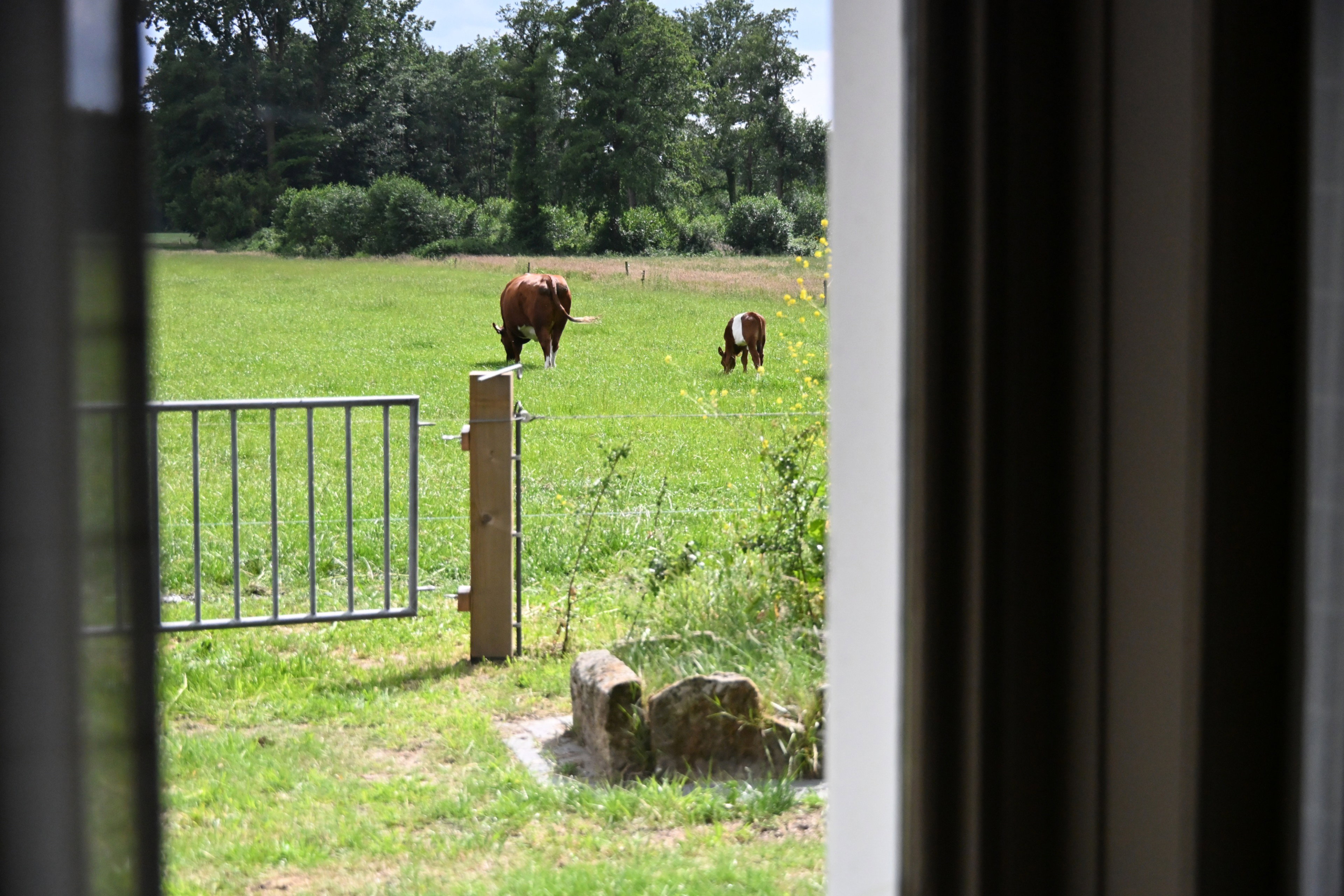 Natuurhuisje in Albergen