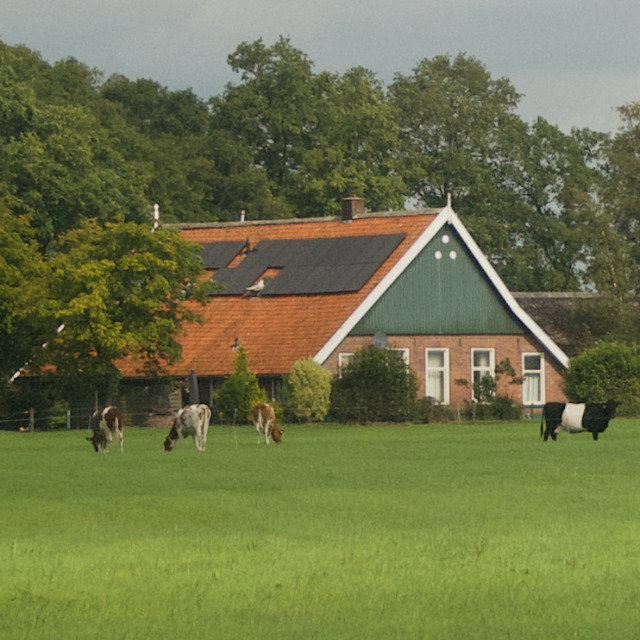 Natuurhuisje in Albergen