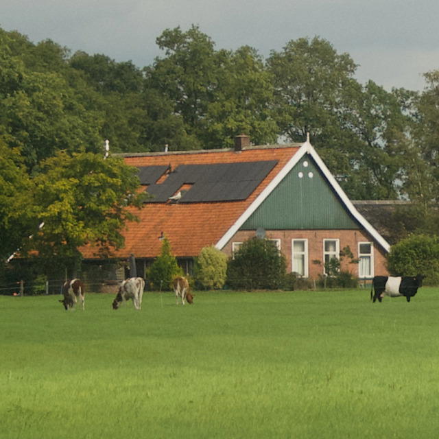Natuurhuisje in Albergen
