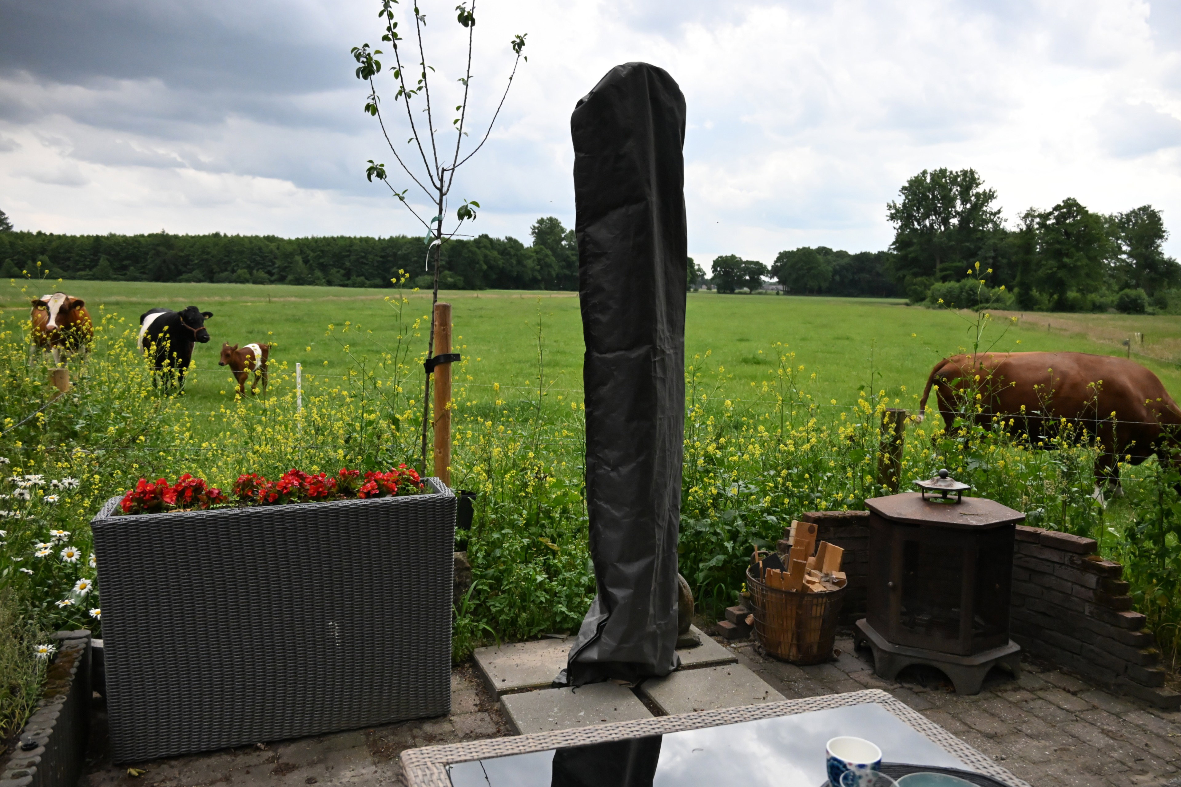 Natuurhuisje in Albergen