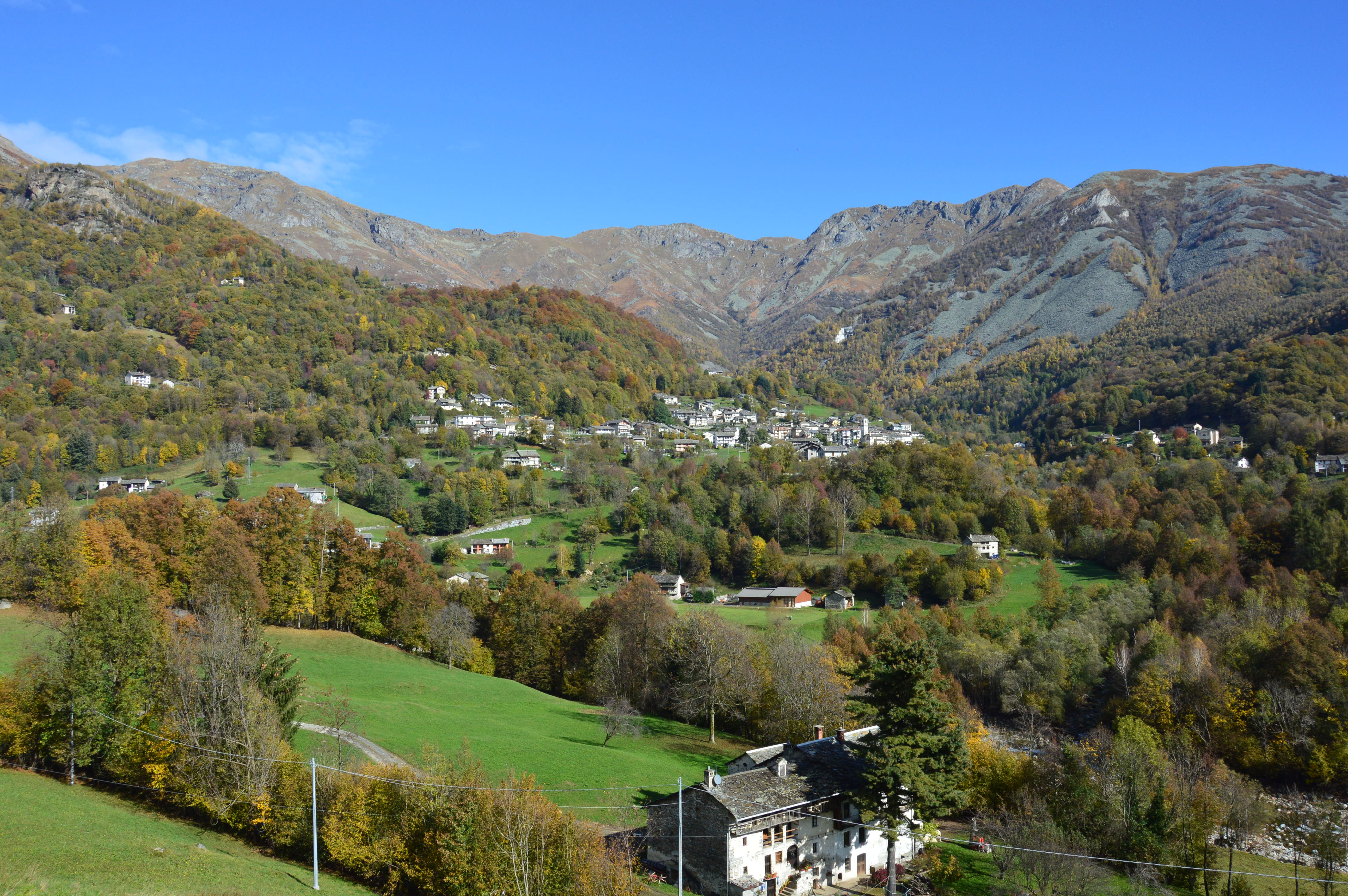 - image: 55